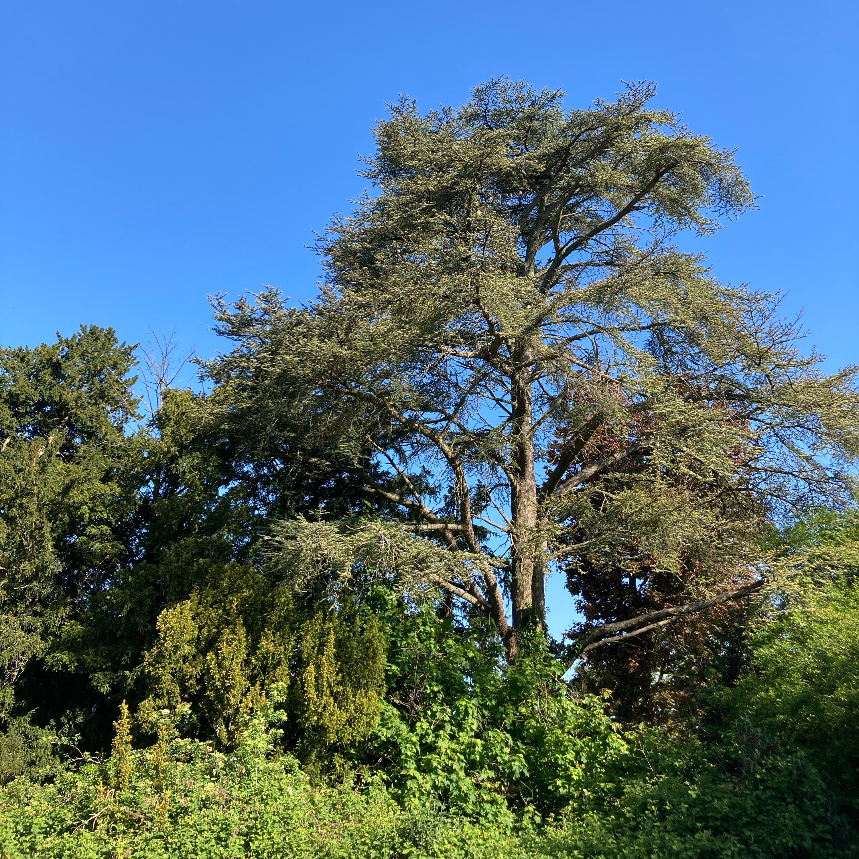 Sm2n 2025-05-10 A question for YOU #MayPodPoMo episode 8