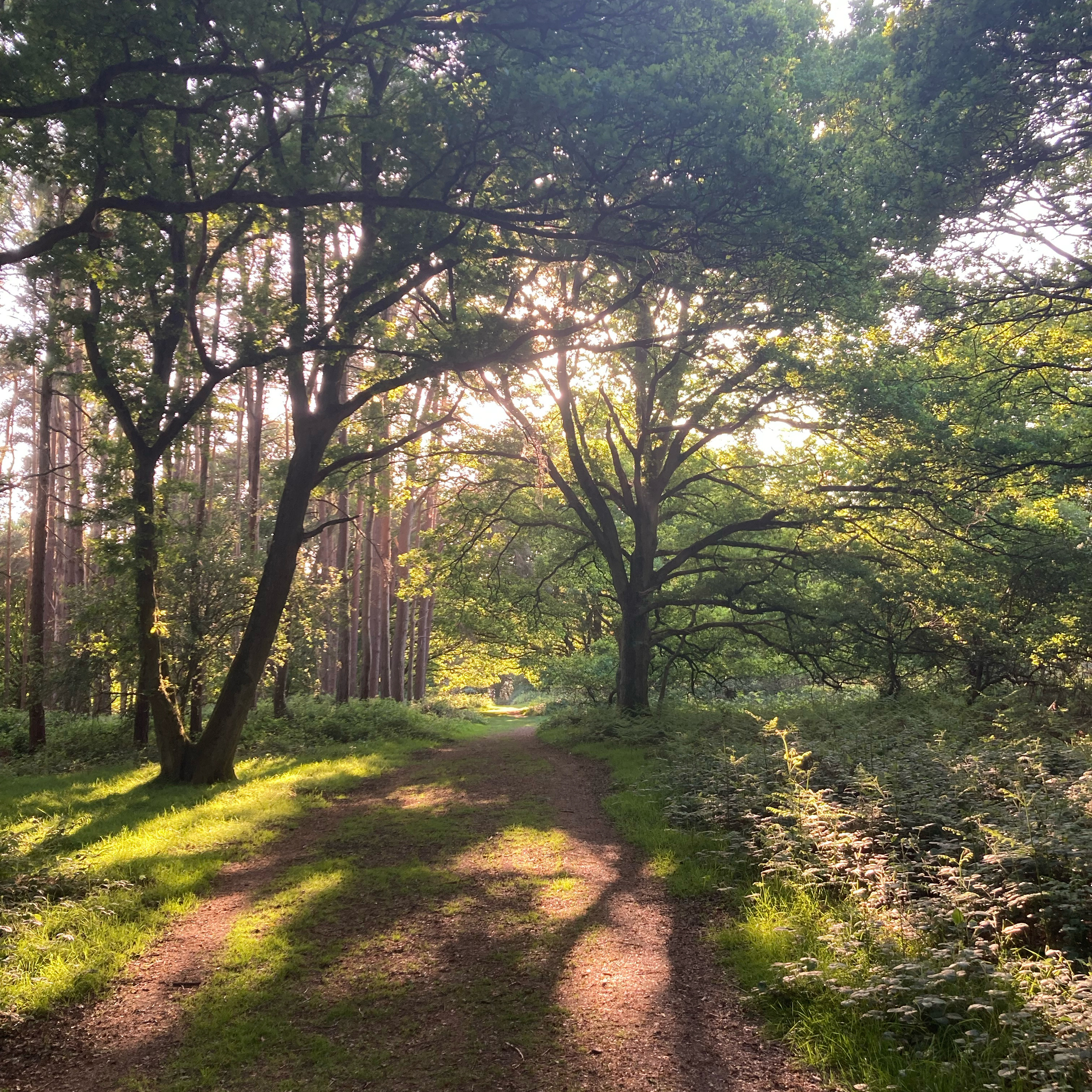 Sm2n 2025-05-16 #MayPodPoMo episode 14