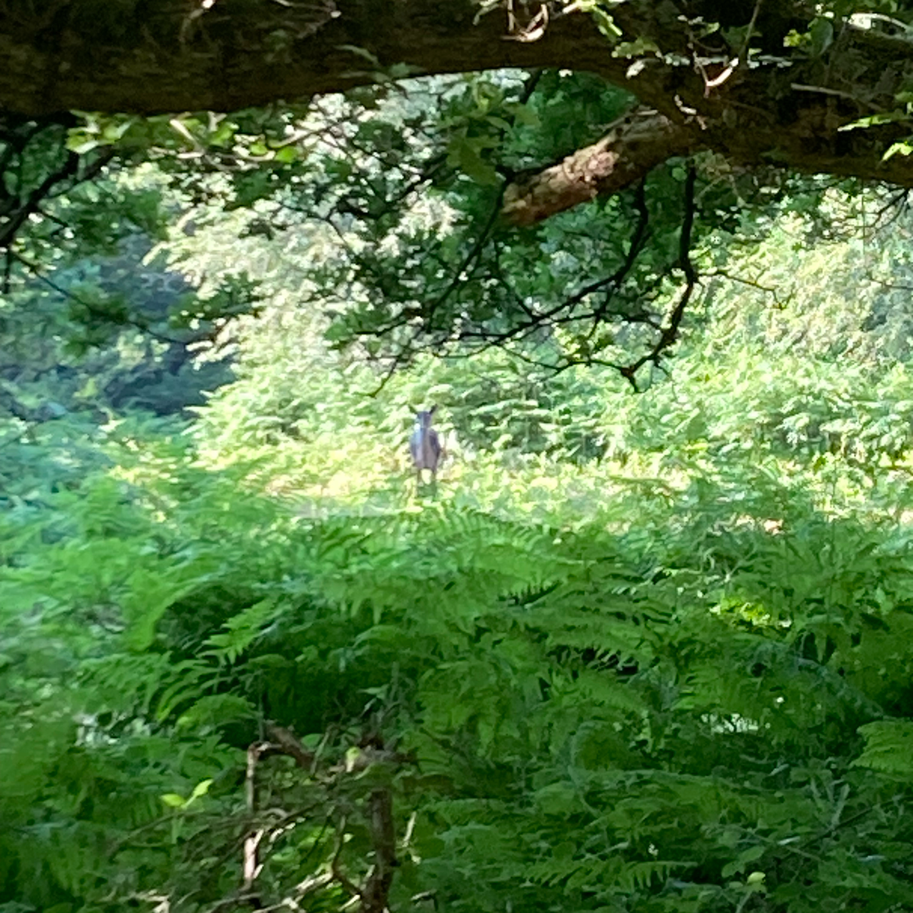 Sm2n 2025-06-19 #audioMo episode 18 - proud of/excited for our kids