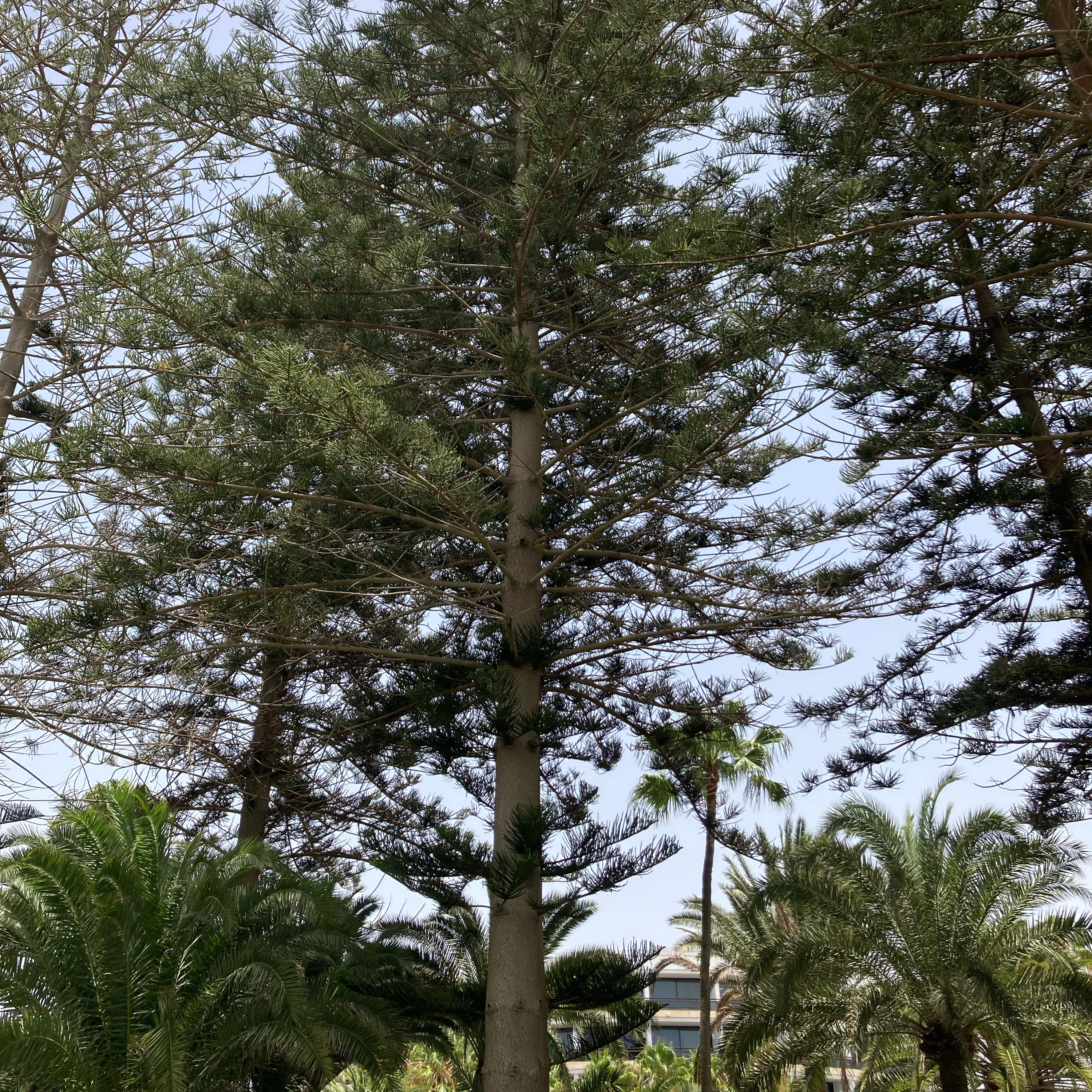 Sm2n 2025-07-15 #julyPodPoMo episode 14 - the sound of walking past the pool and down to the beach