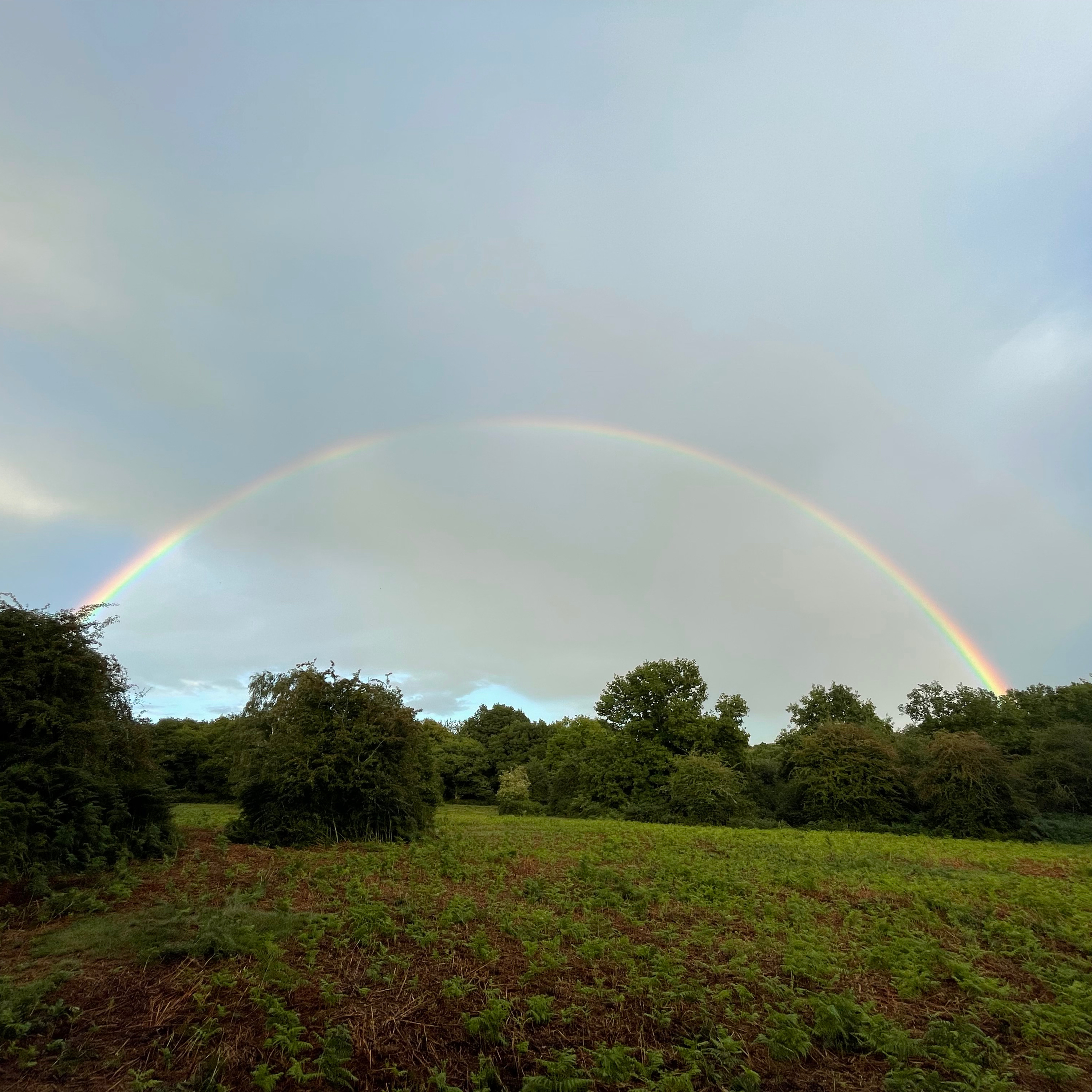 Sm2n 2025-09-01 the first ever #sepPodPoMo