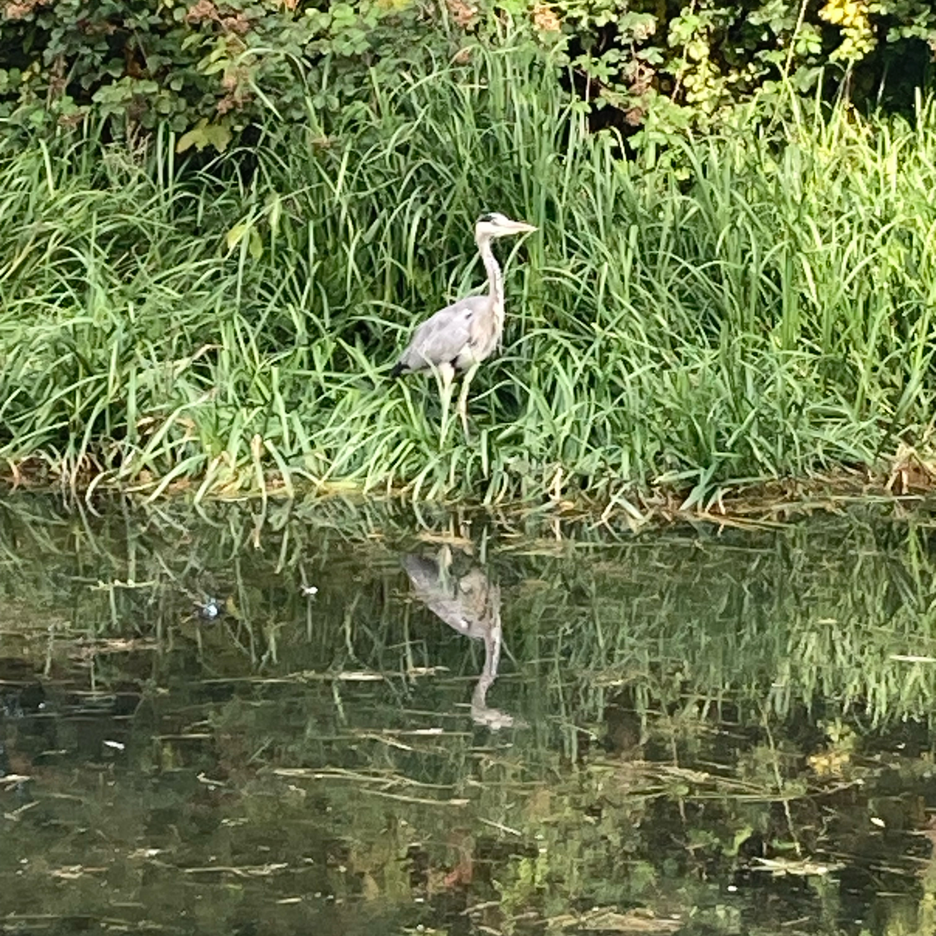 Sm2n 2025-09-08 #SEPpODpOmO episode 8