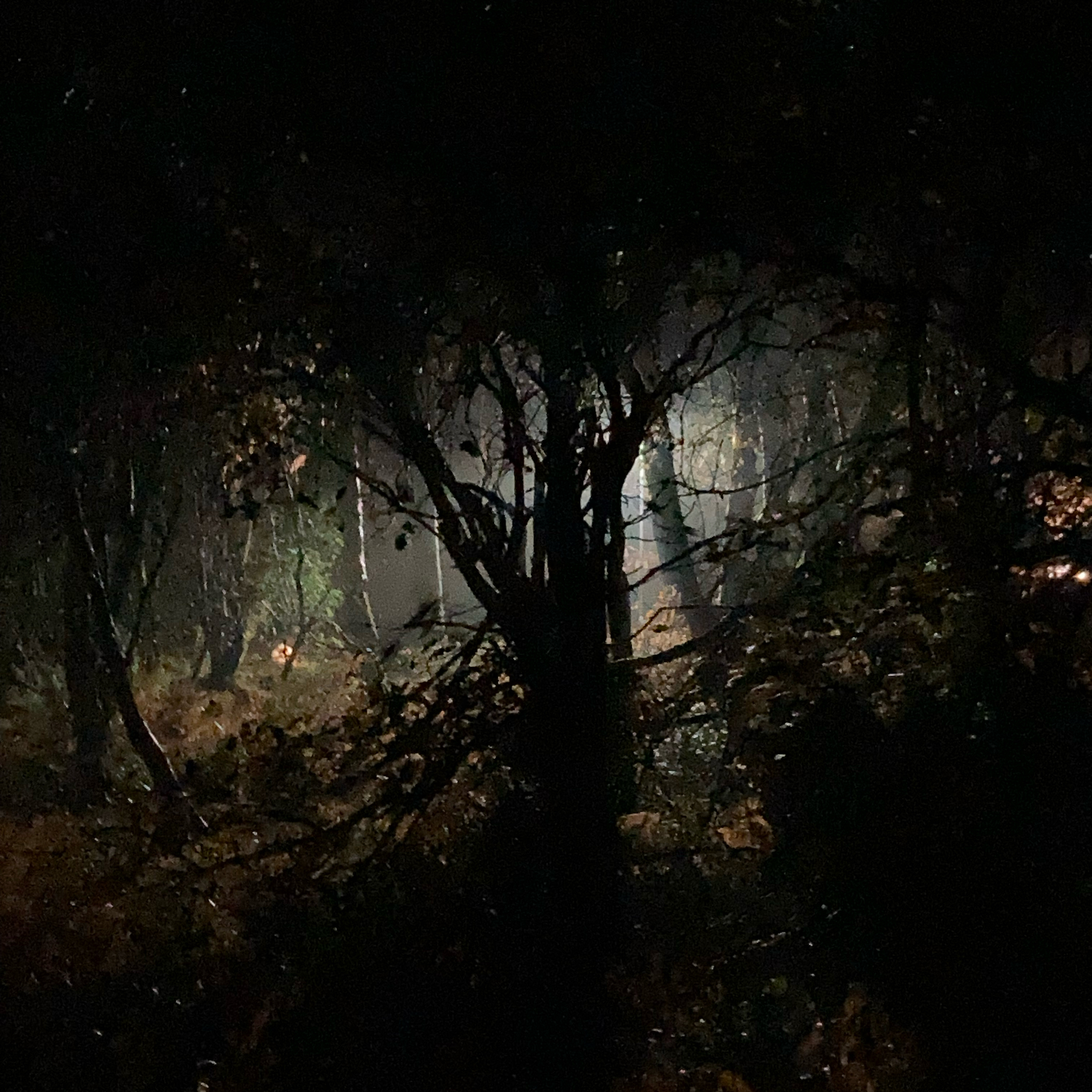 Sm2n 2025-11-14 #naPodPoMo episode 13 - MUDDY