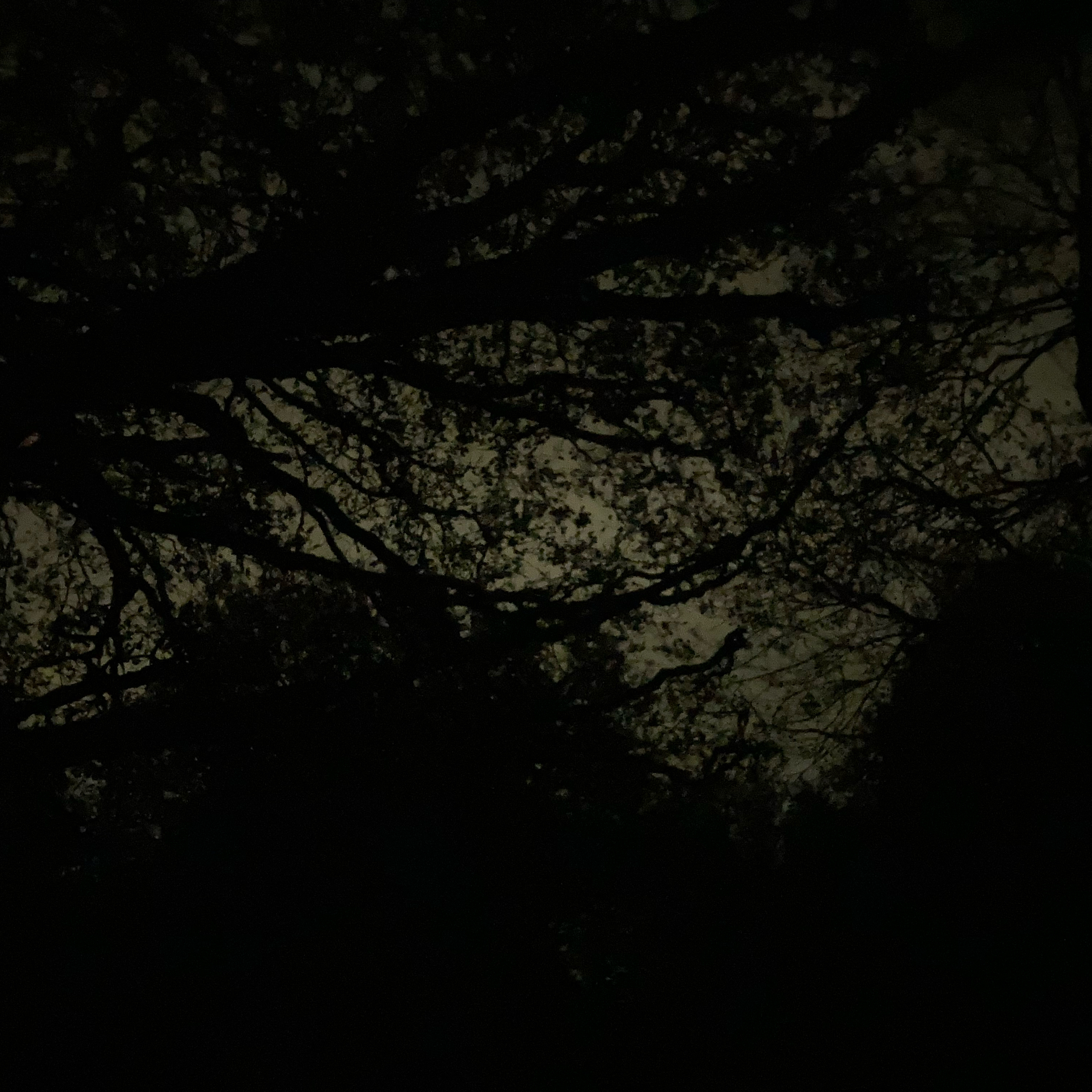 Sm2n 2025-11-24 #naPodPoMo episode 24