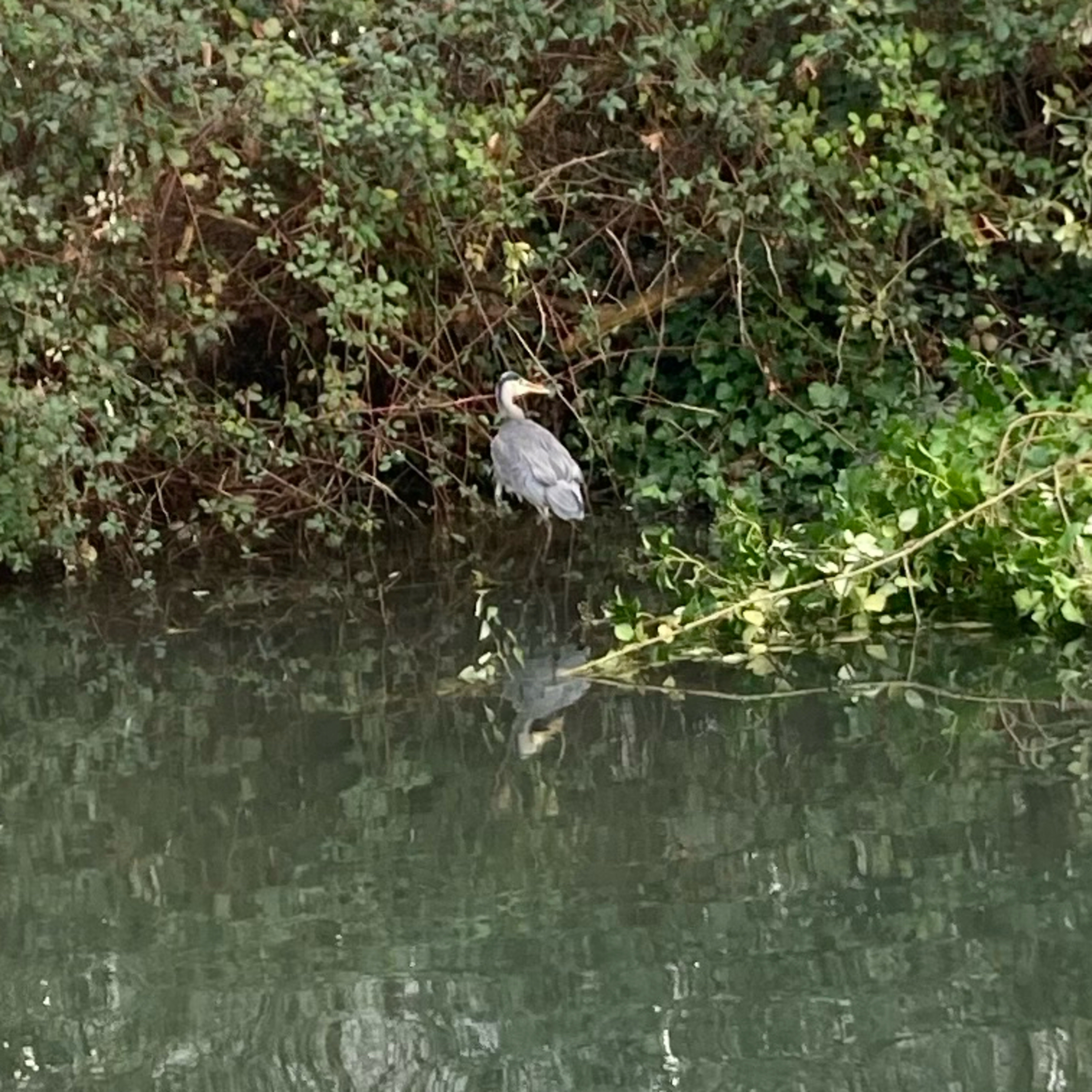 Sm2n 2025-12-06 #decPodPoMo - unwrapping my Spotify wrapped