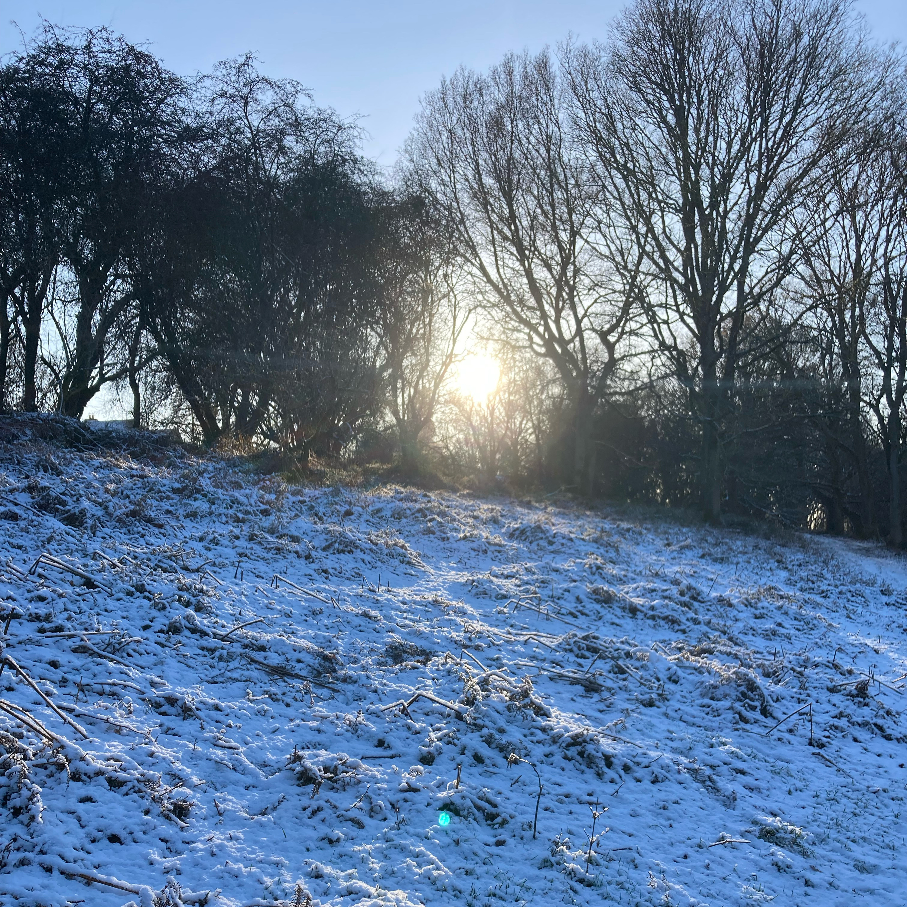 Sm2n 2026-01-02 #audio365 - 2 - snowy woodland walk with Emilia