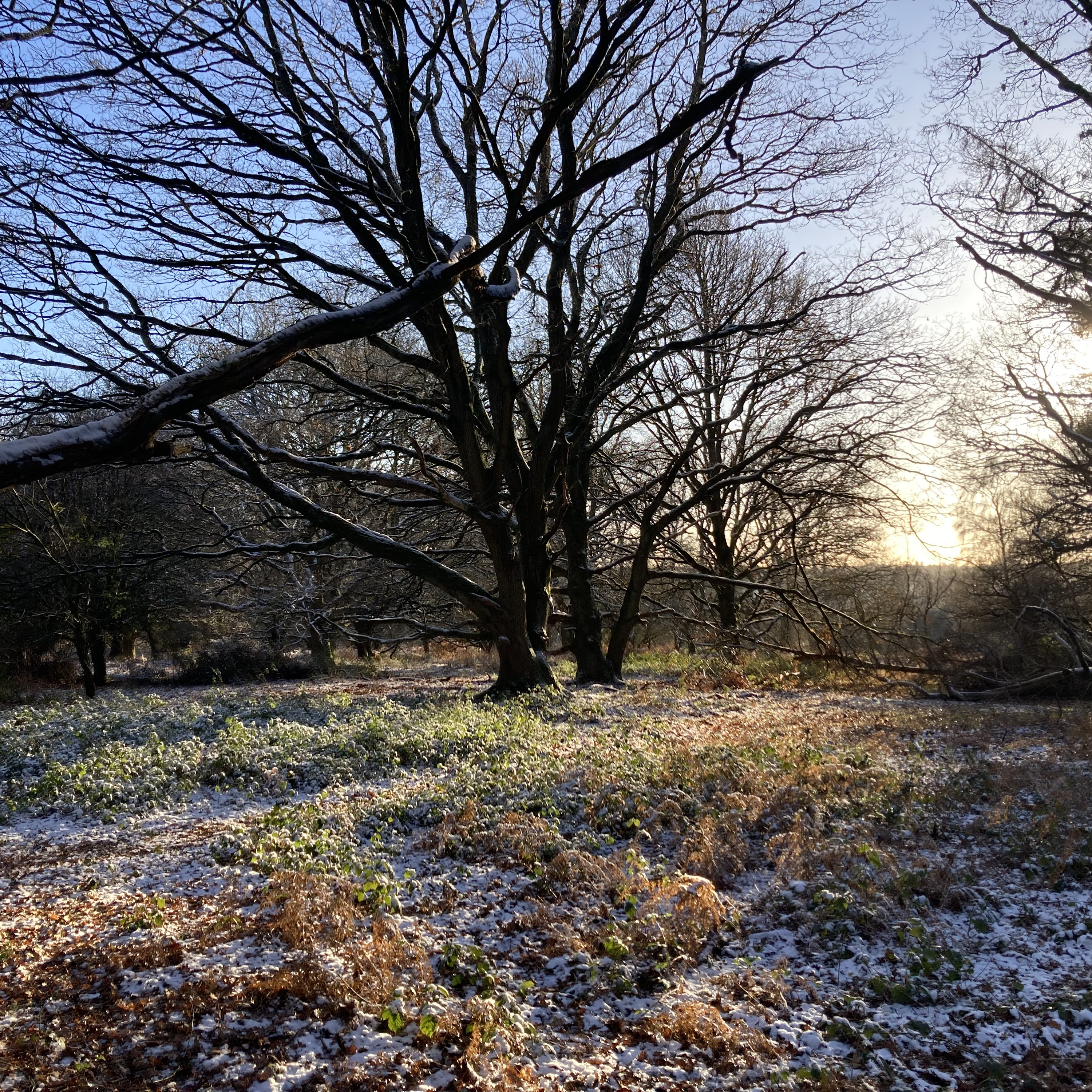 Sm2n 2026-01-03 #audio365 - 3/365 - clear out