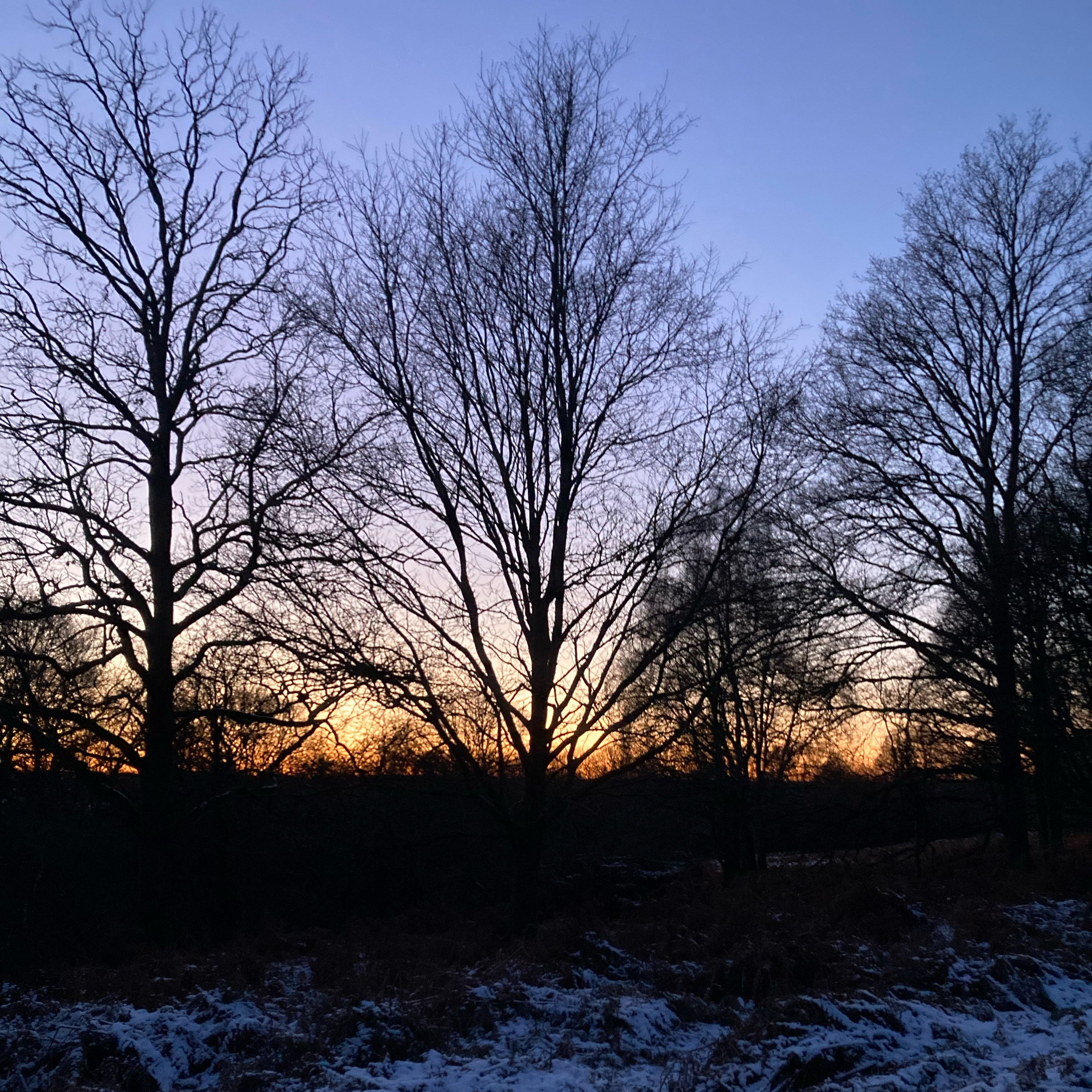 Sm2n 2026-01–05 #audio365 - 5/365 - first day back at work, crunchy walk in the snowy woods