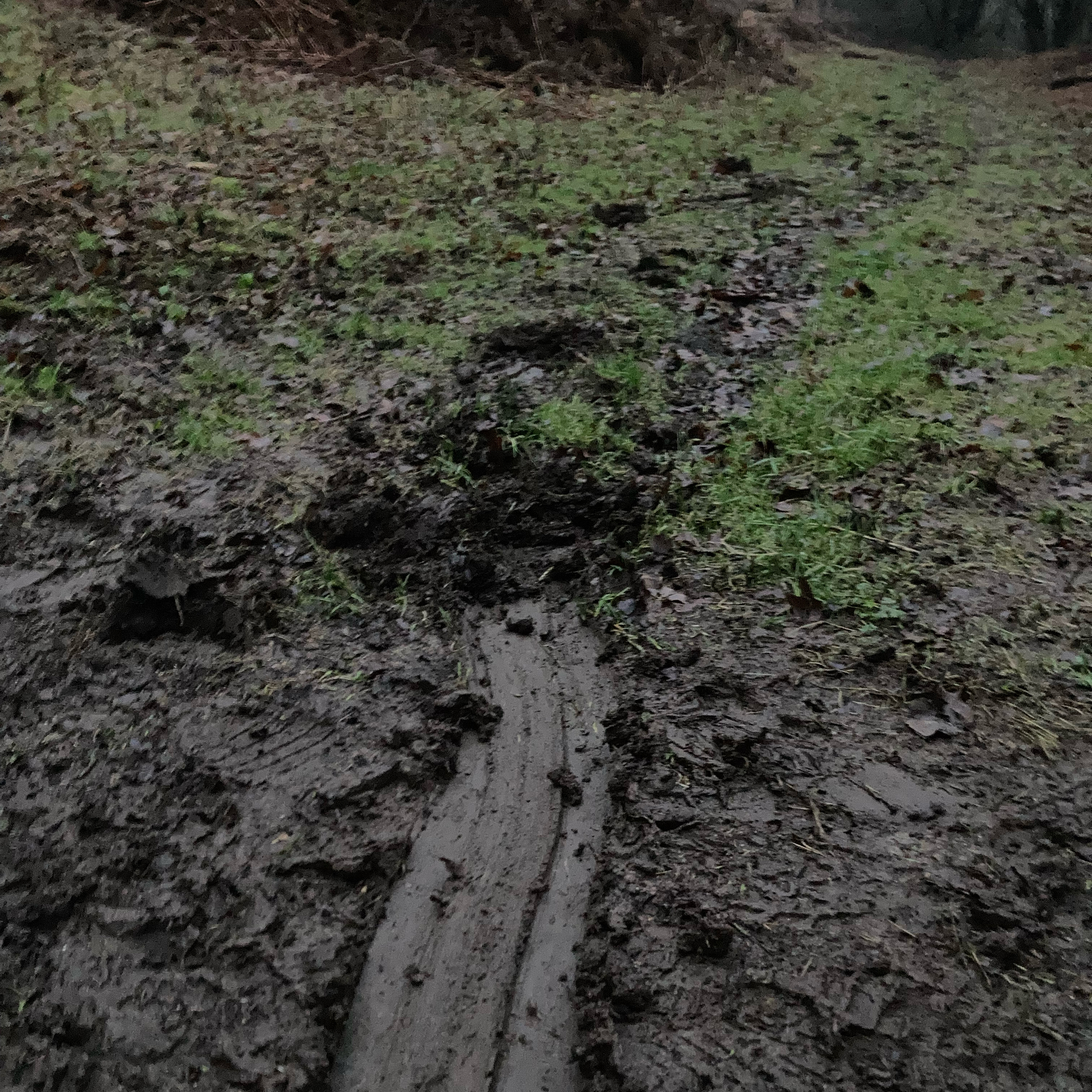 Sm2n 2026-01-18 #audio365 - 18/365 - unexpectedly launching into a gratitude list