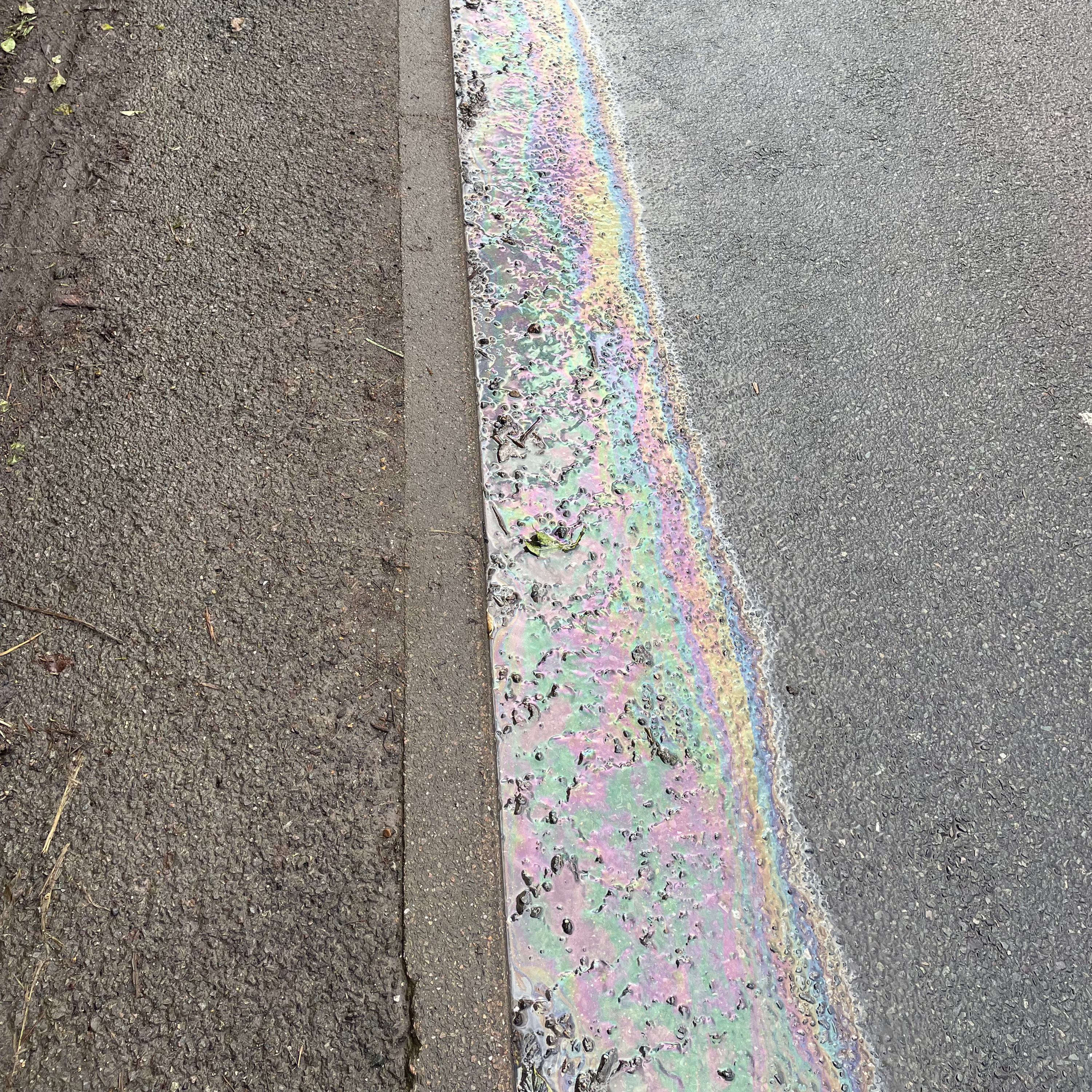 Sm2n 2026-01-30 #audio365 - 30/365 - daylight!