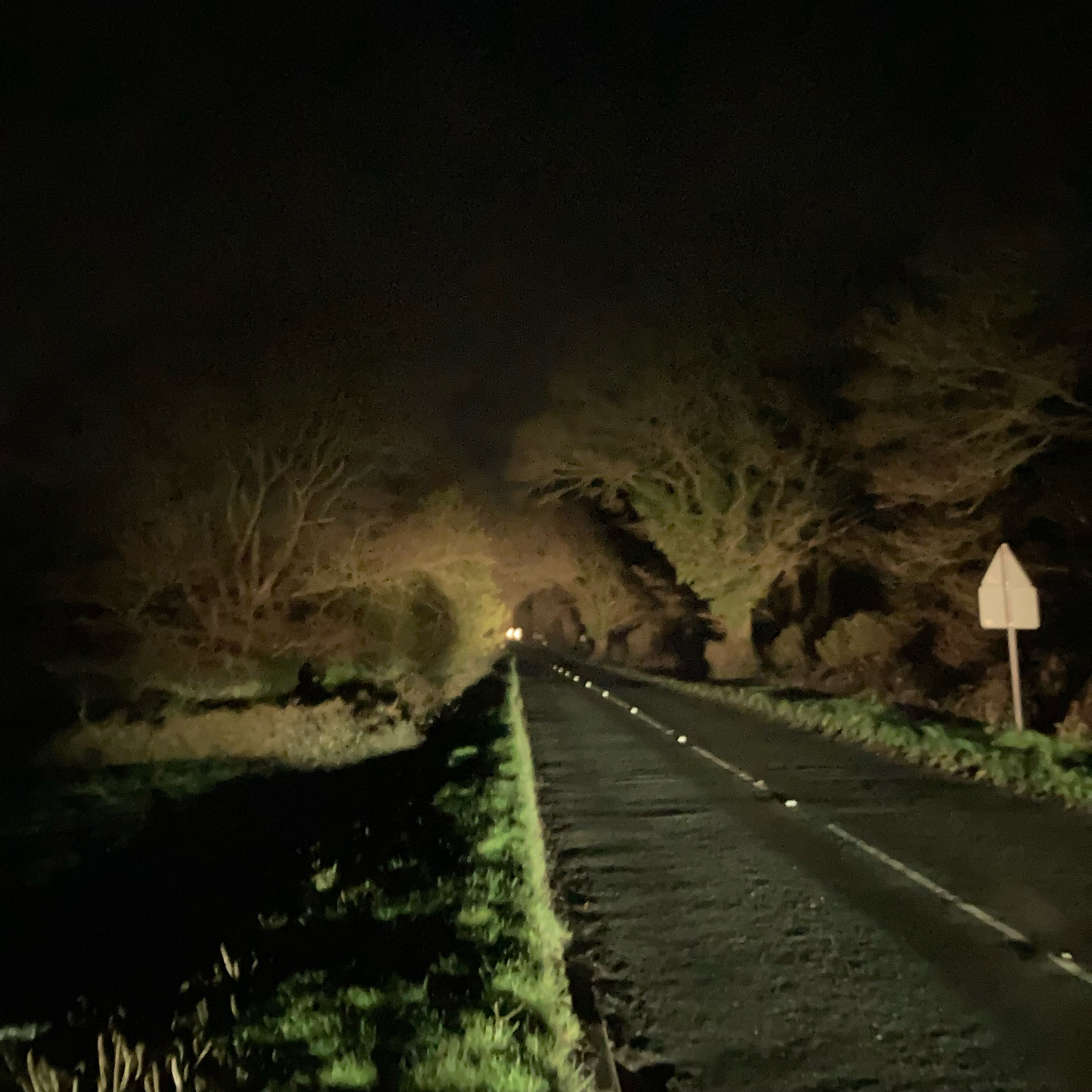 Sm2n 2026-02-20 #audio365 : 51/365 - quite a late walk in the dark woods