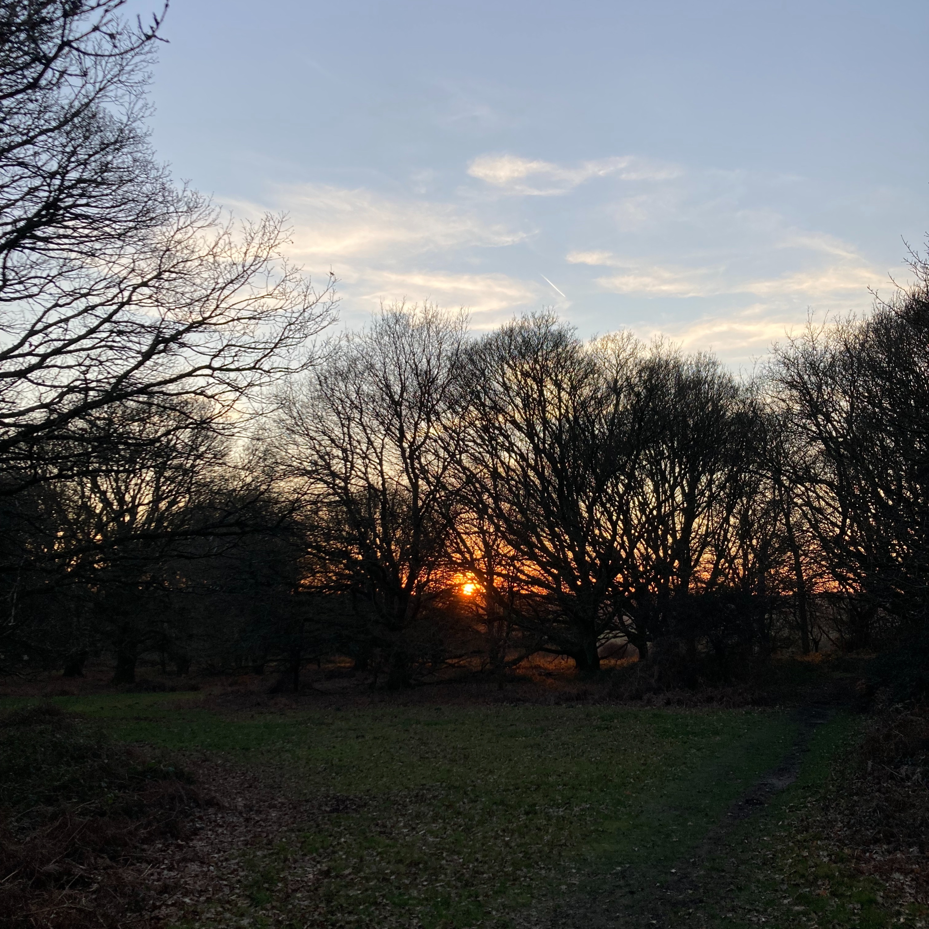 Sm2n 2026-02-25 #audio365 : 56/365 : asking myself what I'm afraid of, finding this helpful, and being pleasantly surprised with the answers