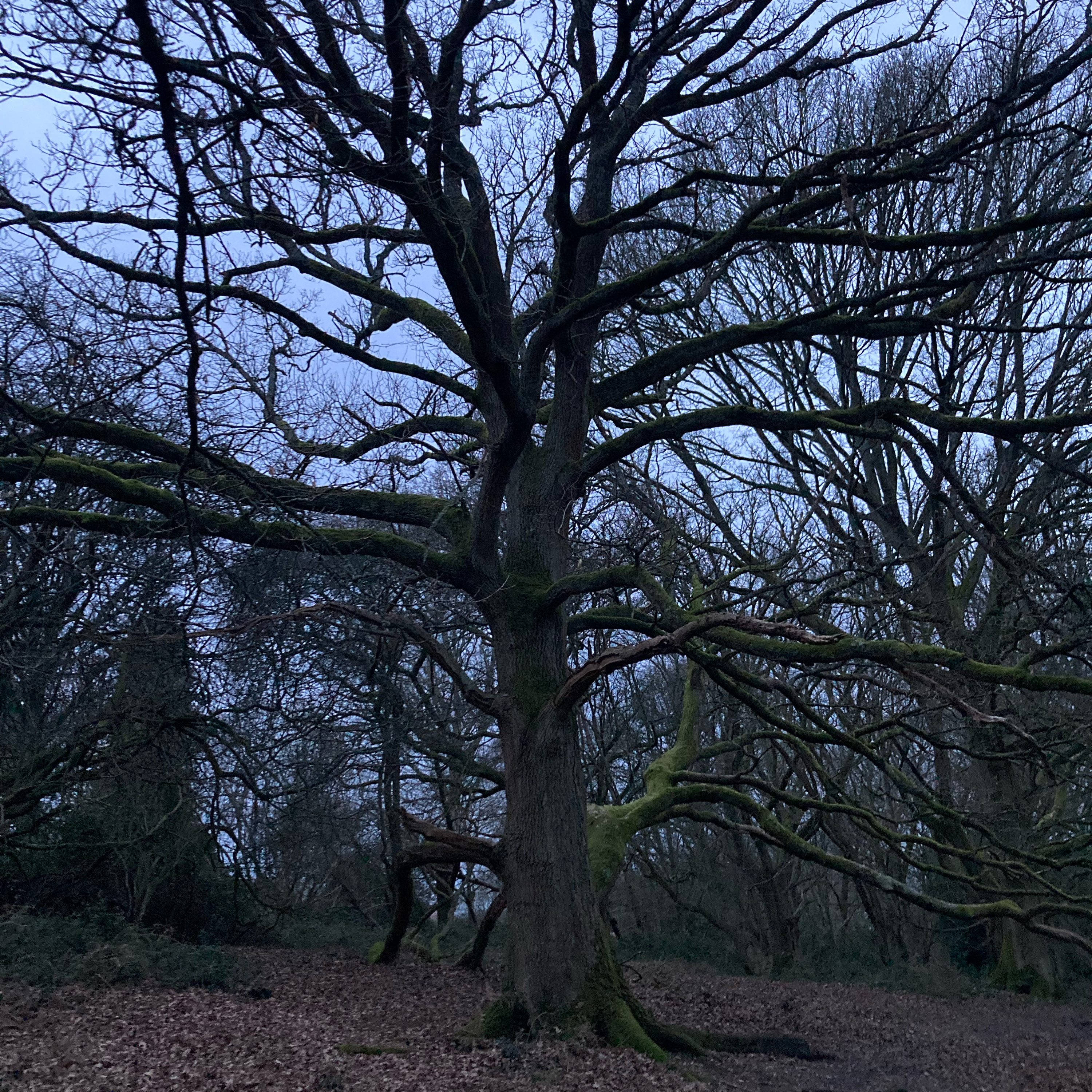 Sm2n 2026-02-26 #audio365 : 57/365 : what a difference a year makes