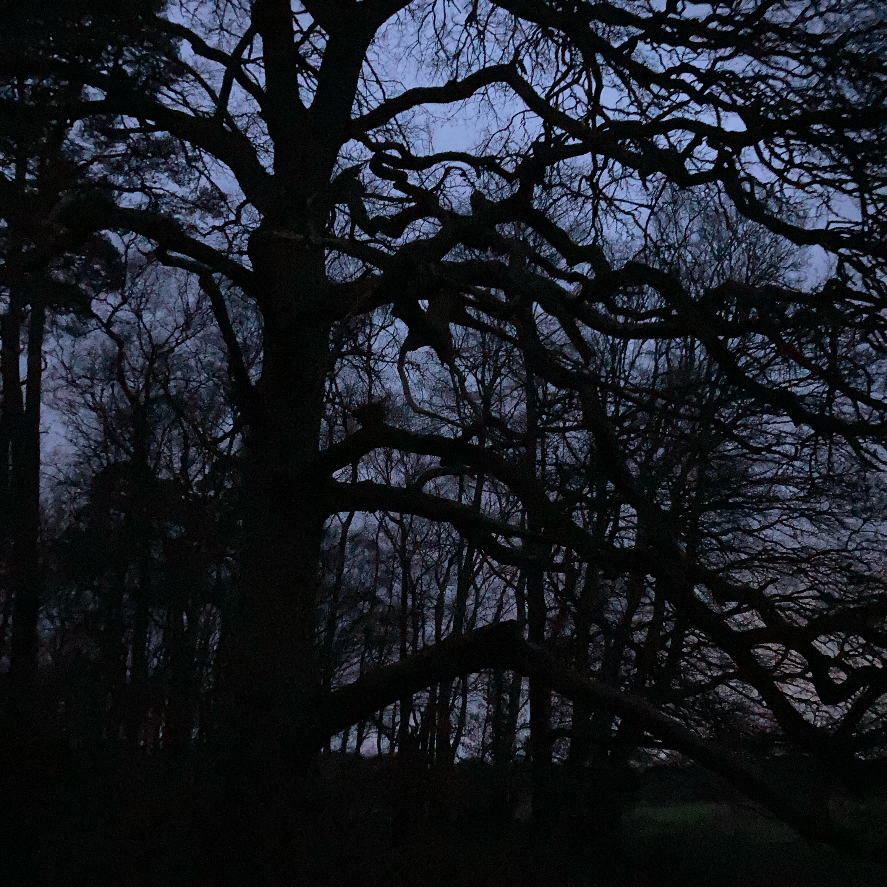 Sm2n 2026-02-27 #audio365 : 58/365 : thinking about the process of graciously receiving feedback