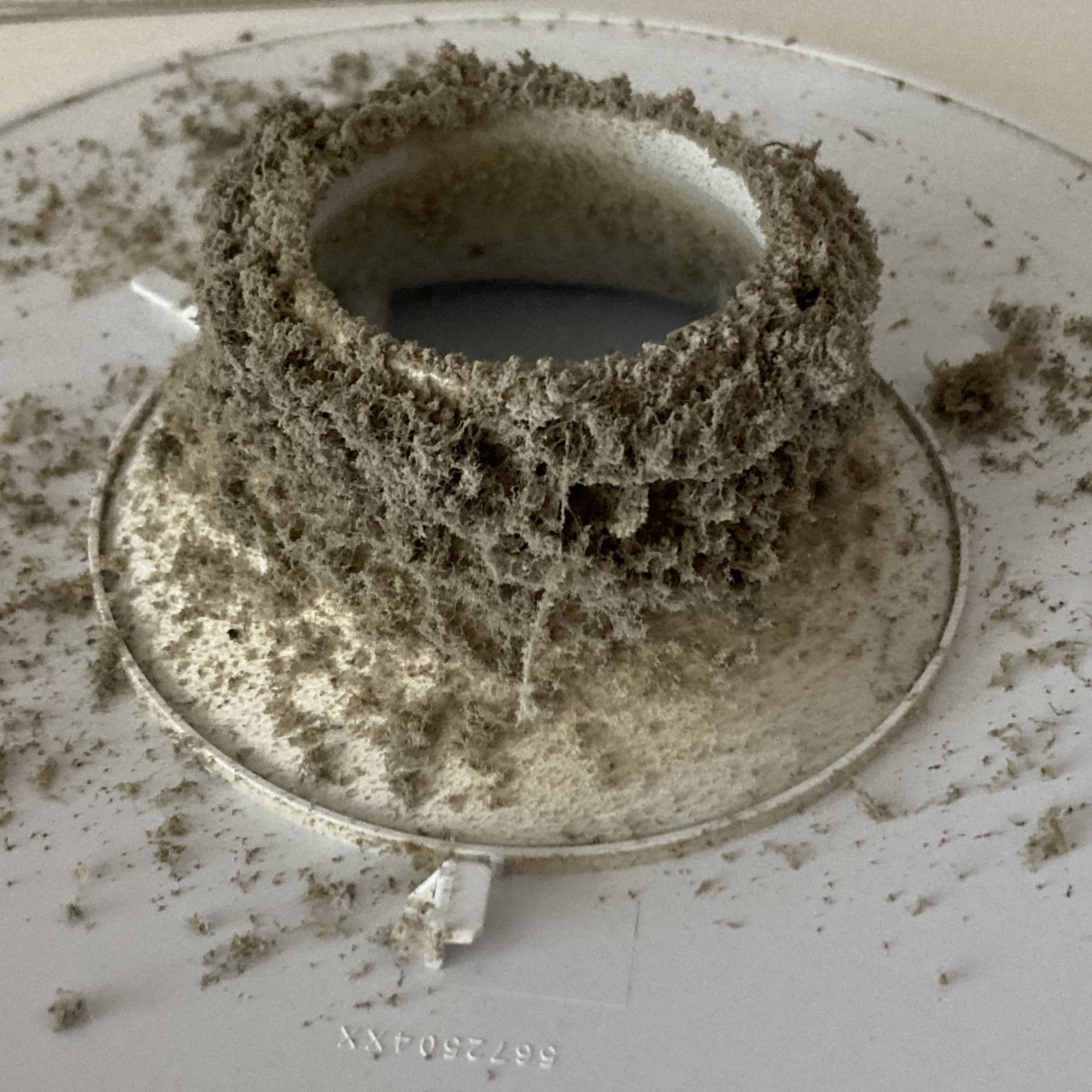 Sm2n 2026-03-14 #audio365 (73/365) happy pi day