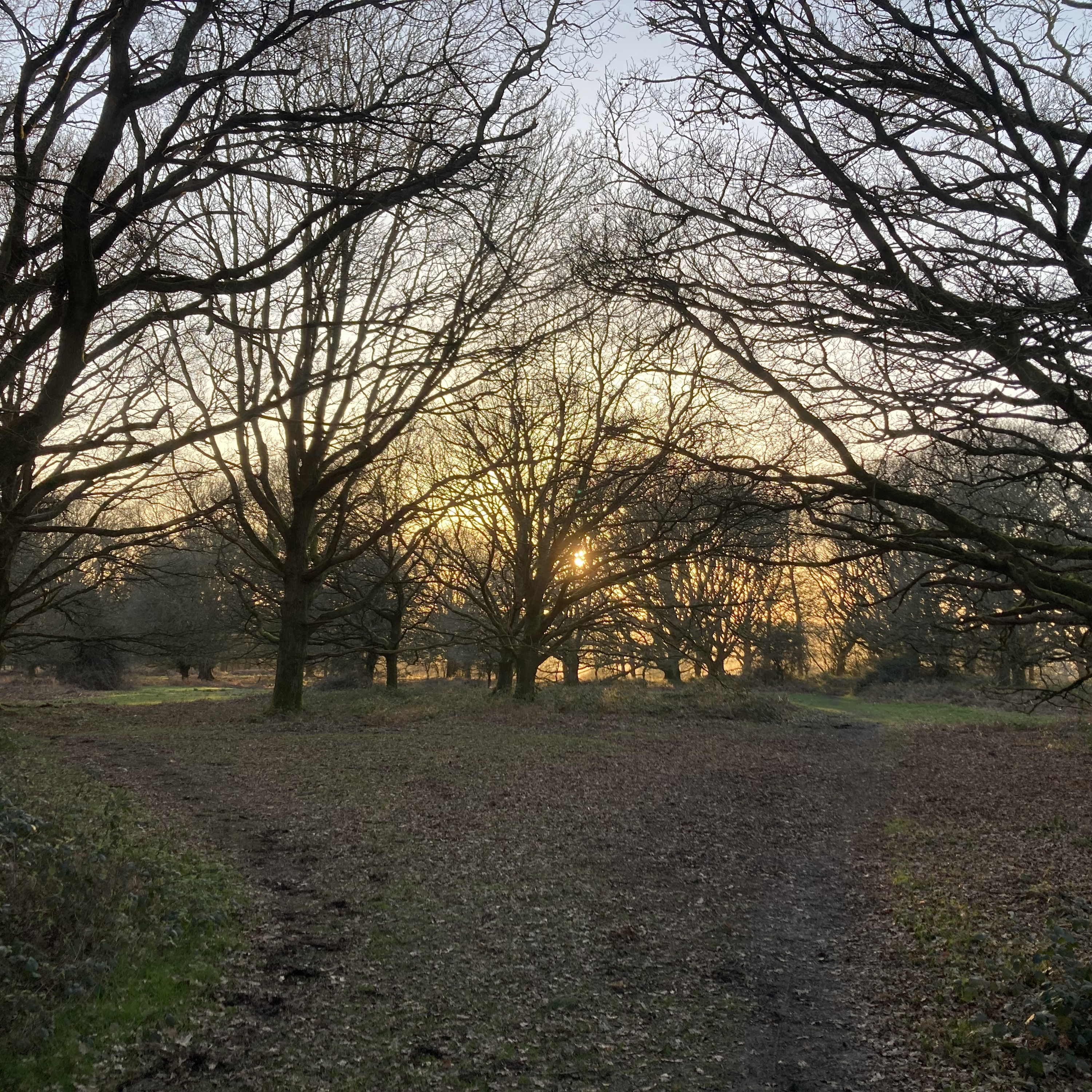 Sm2n 2026-03-17 #audio365 (76/365) thank you for your suggestions to balance reporting progress