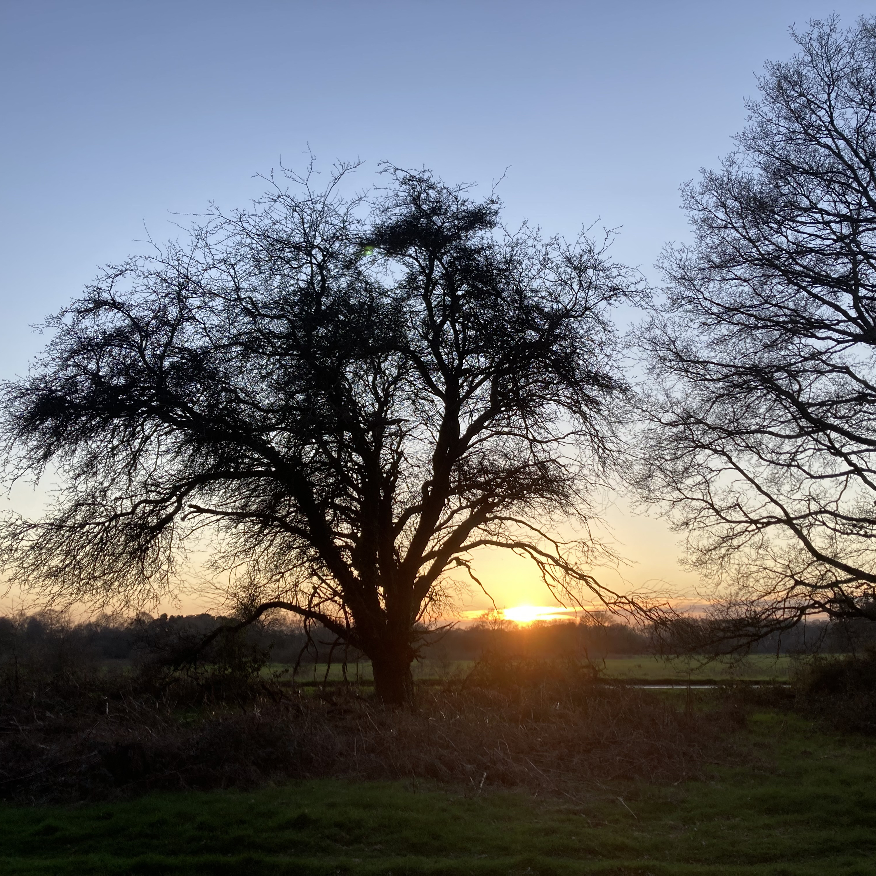 Sm2n 2026-03-18 #audio365 (77/365) Gaslighting? No battered eyelids.