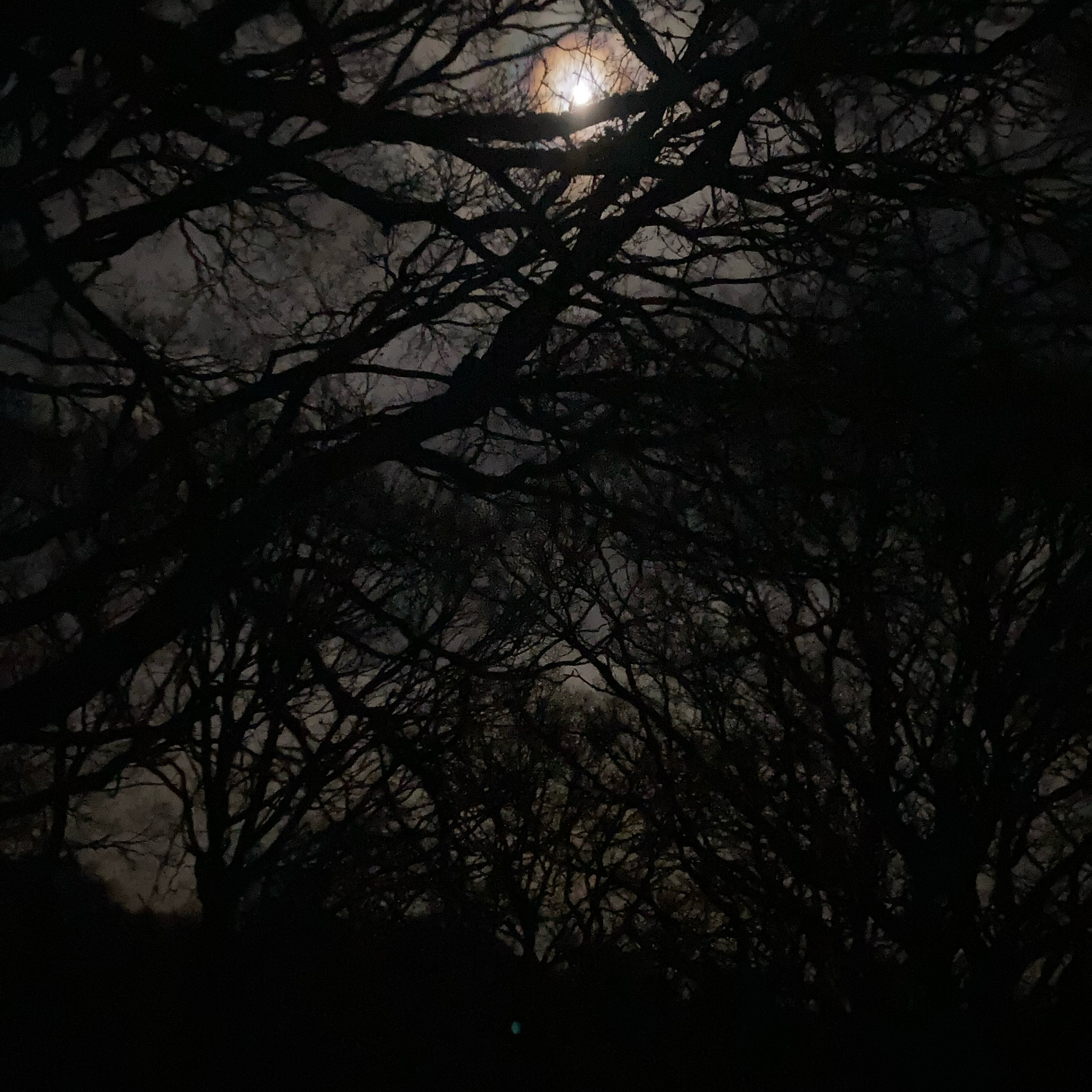 Sm2n 2026-03-29 #audio365 (88/365) 2nd radio play - I’m grateful for all the support