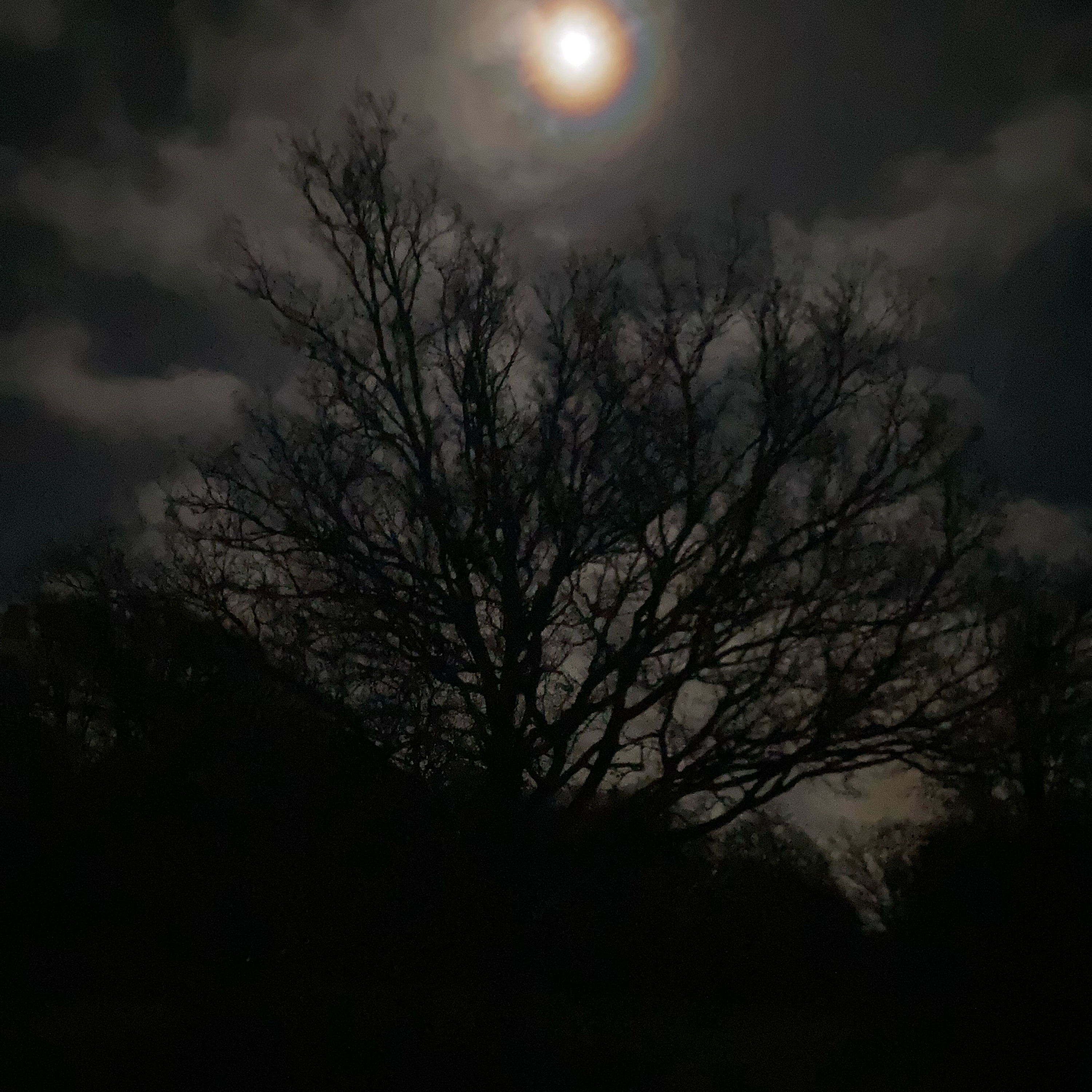 Sm2n 2026-03-30 #audio365 (89/365) still don’t try so hard