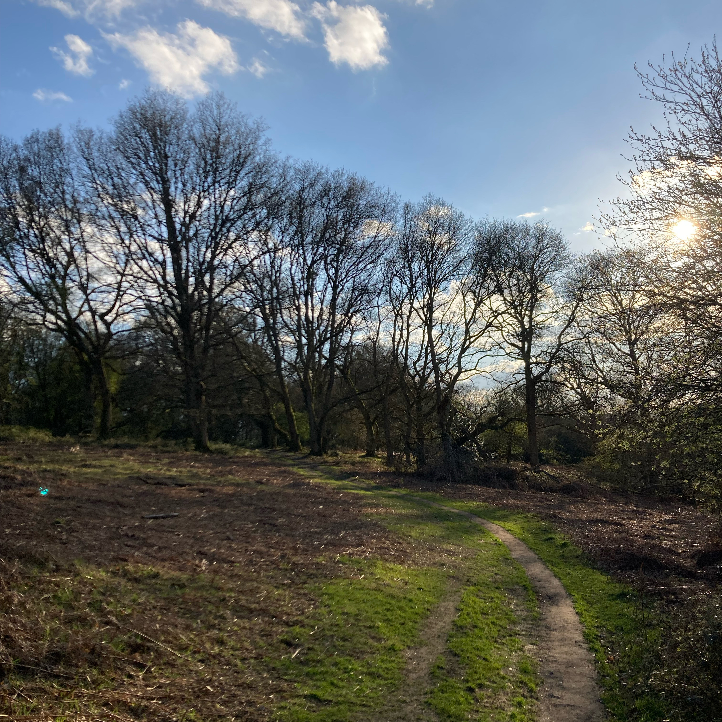 Sm2n 2026-03-31 #audio365 (90/365) apologies for the swearing [explicit]