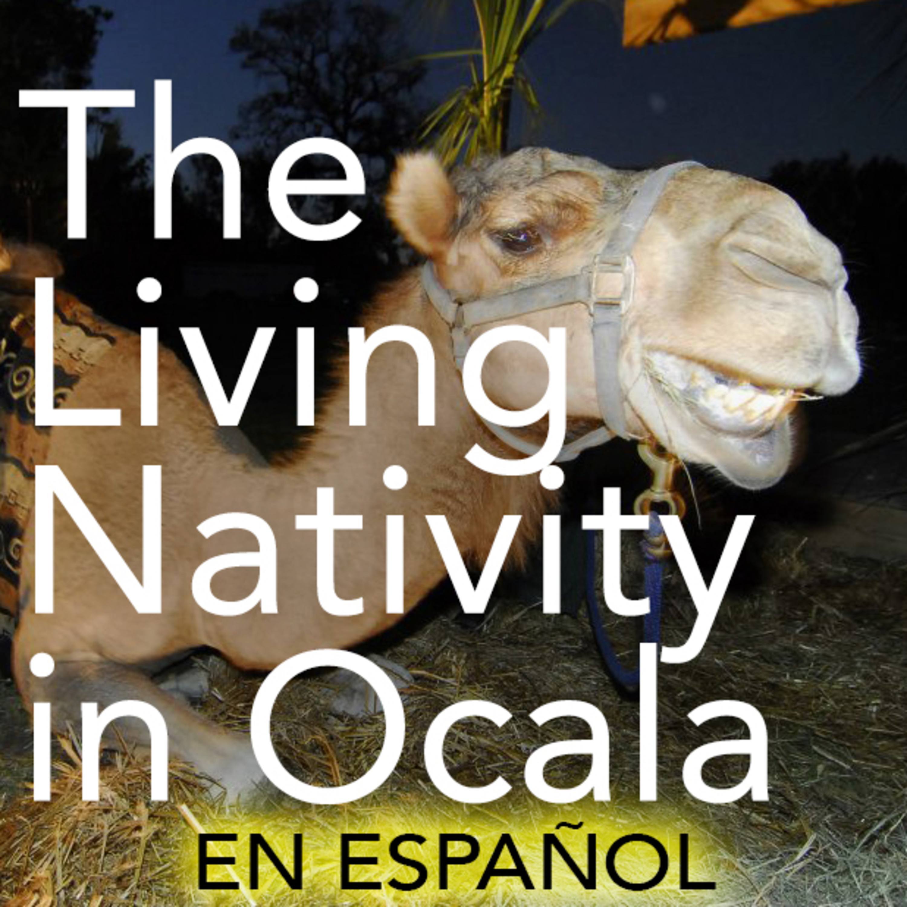The Living Nativity Pageant in Ocala