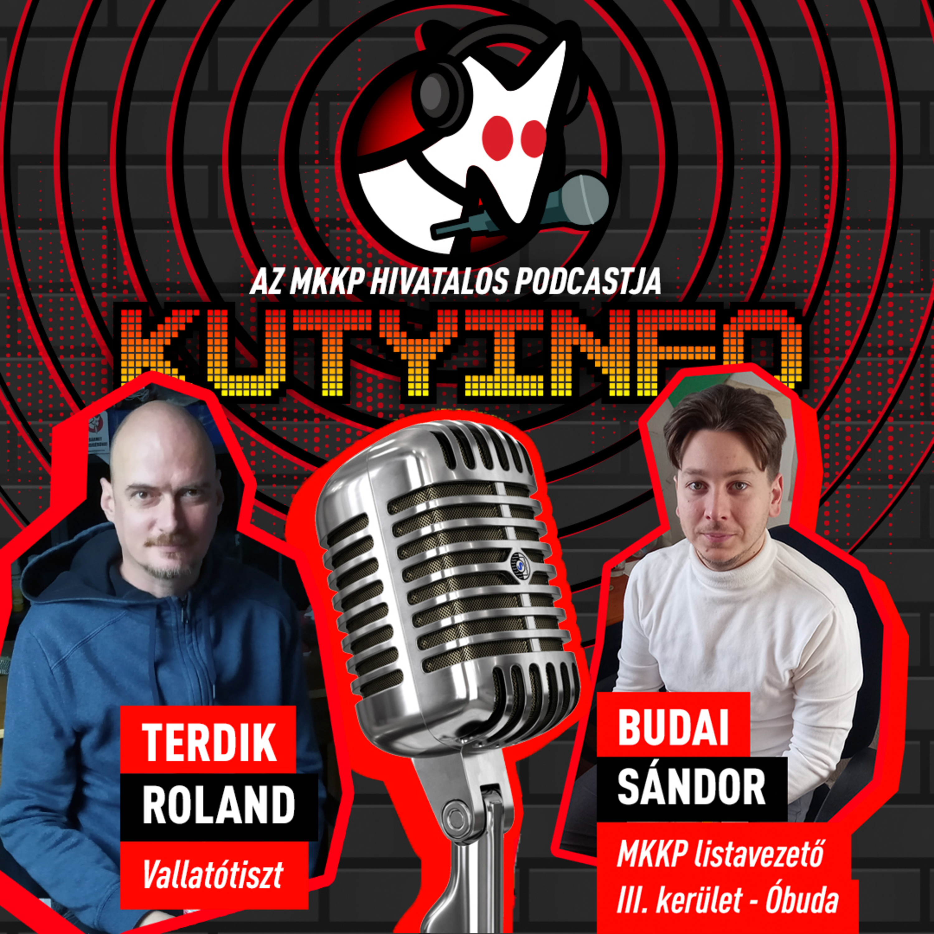 Emberek halnak meg értelmetlenül a gyorshajtók miatt, pedig lenne megoldás | Kutyinfo: Budai Sándor episode artwork