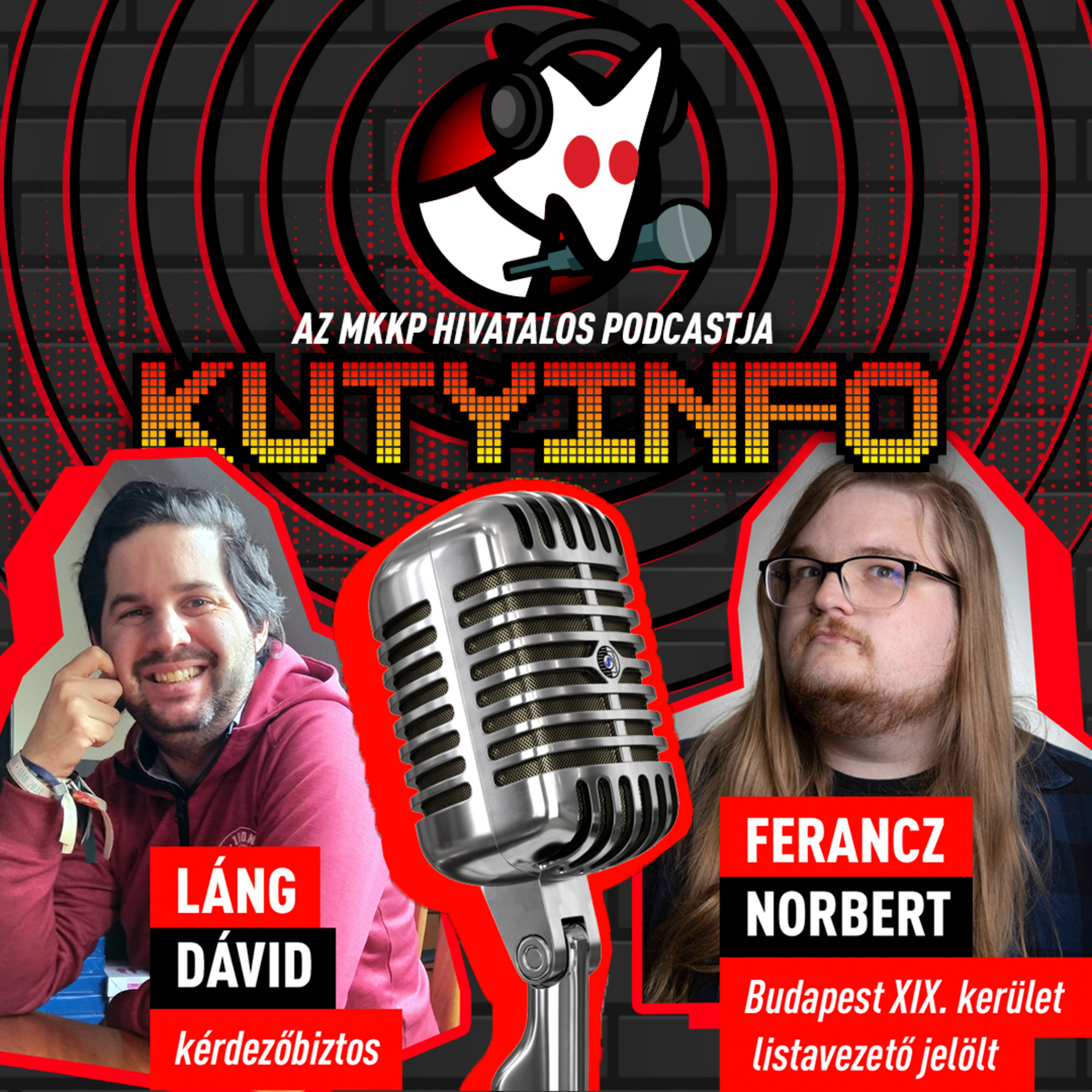 A polgármester személyesen intézkedett a figyelemfelhívó akciónk után | Kutyinfo: Ferancz Norbert episode artwork