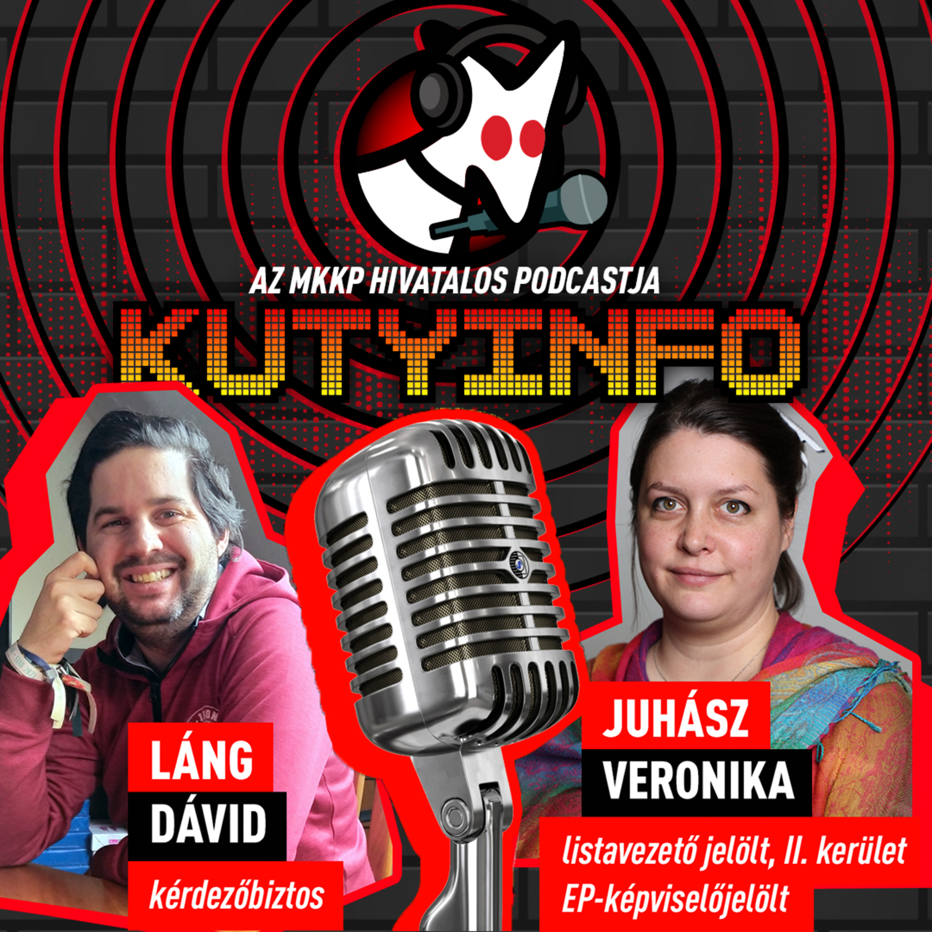 Valójában annyira nem különbözik az opera-karrier a képviselőségtől | Kutyinfo: Juhász Veronika episode artwork