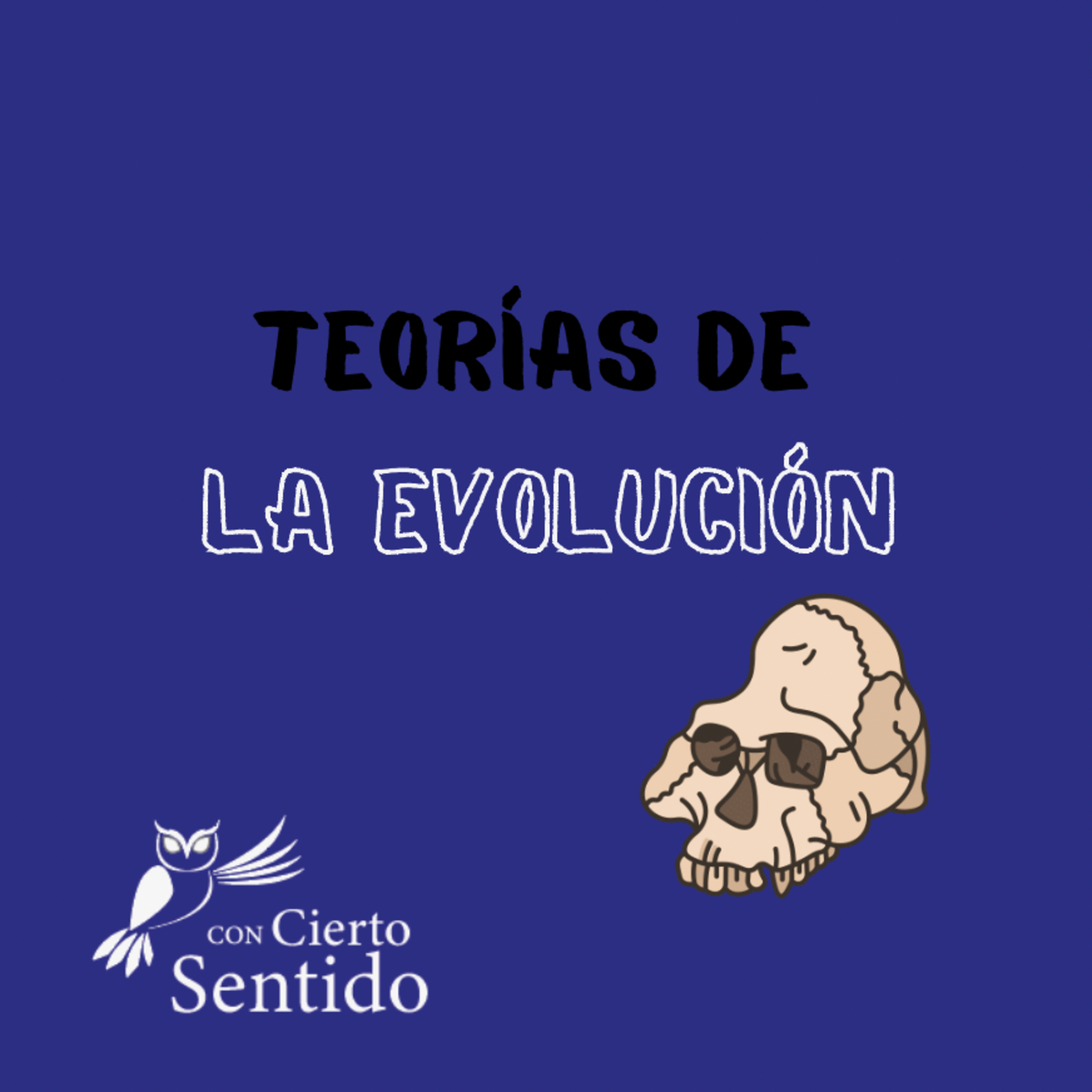 Con Cierto Sentido