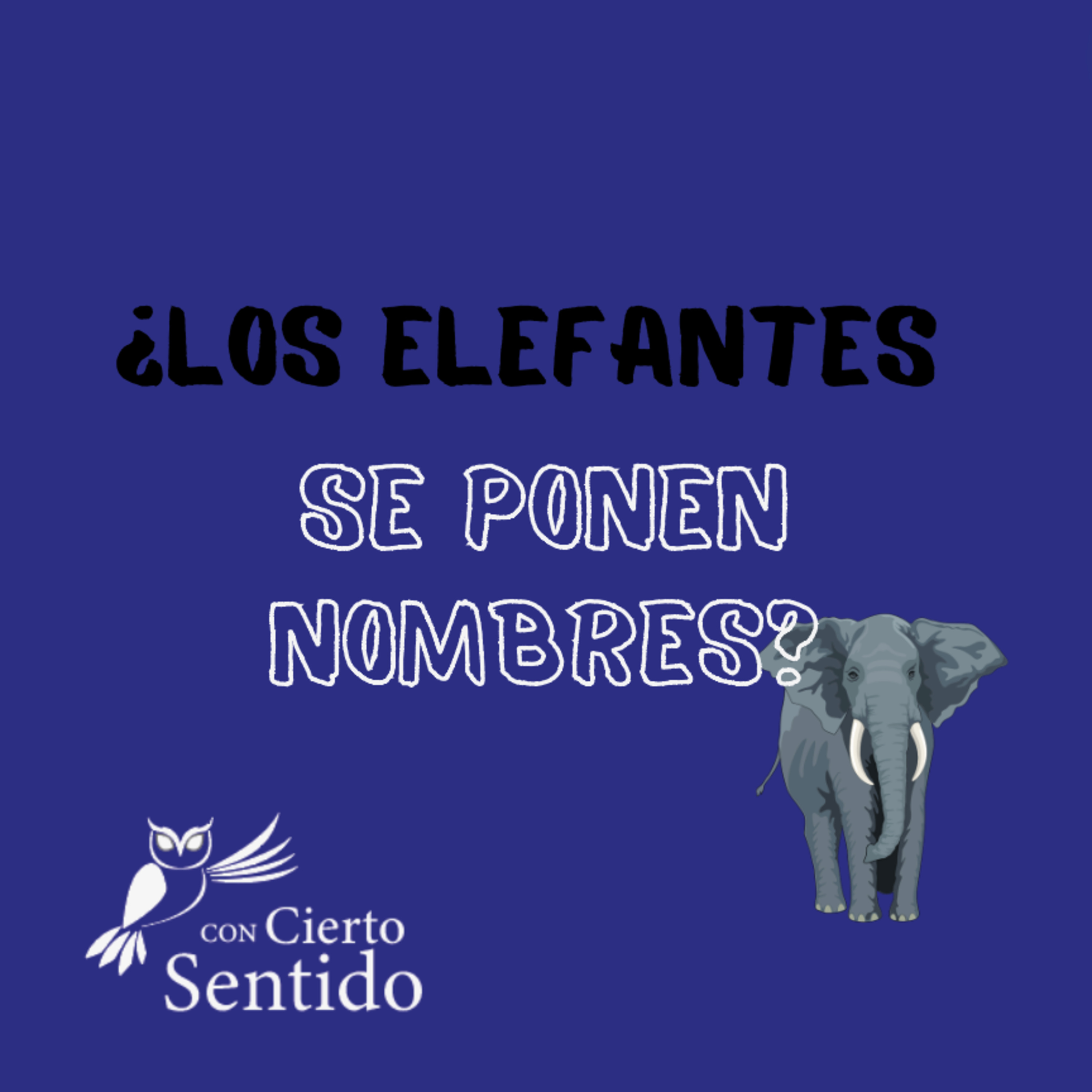 Con Cierto Sentido