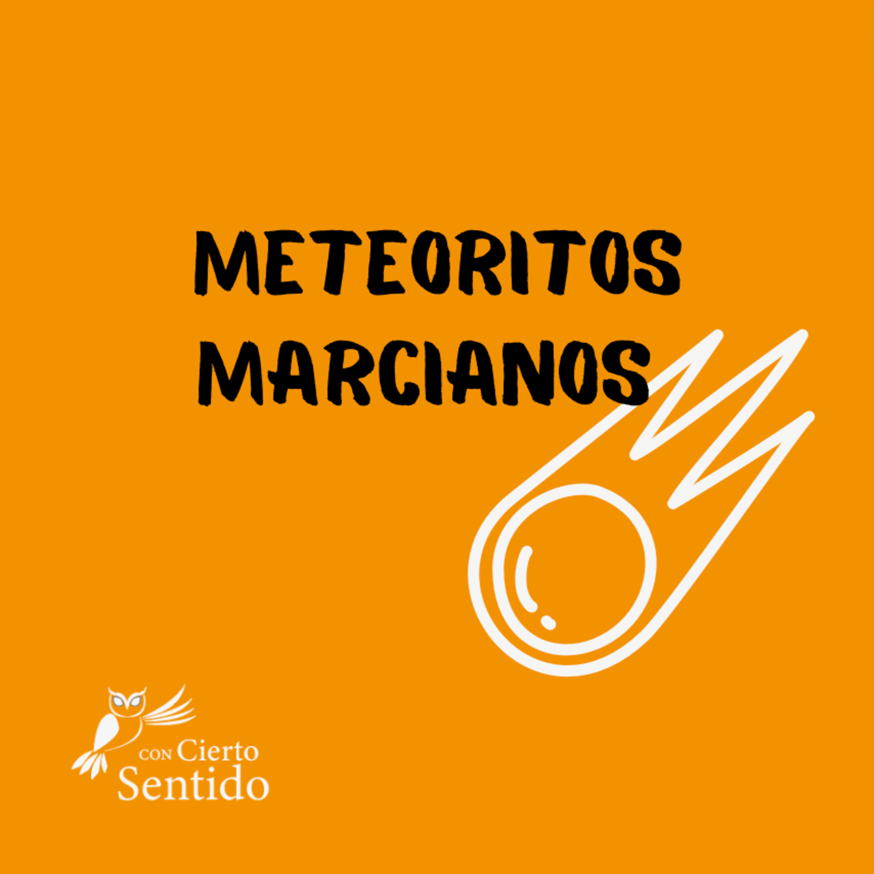 Con Cierto Sentido