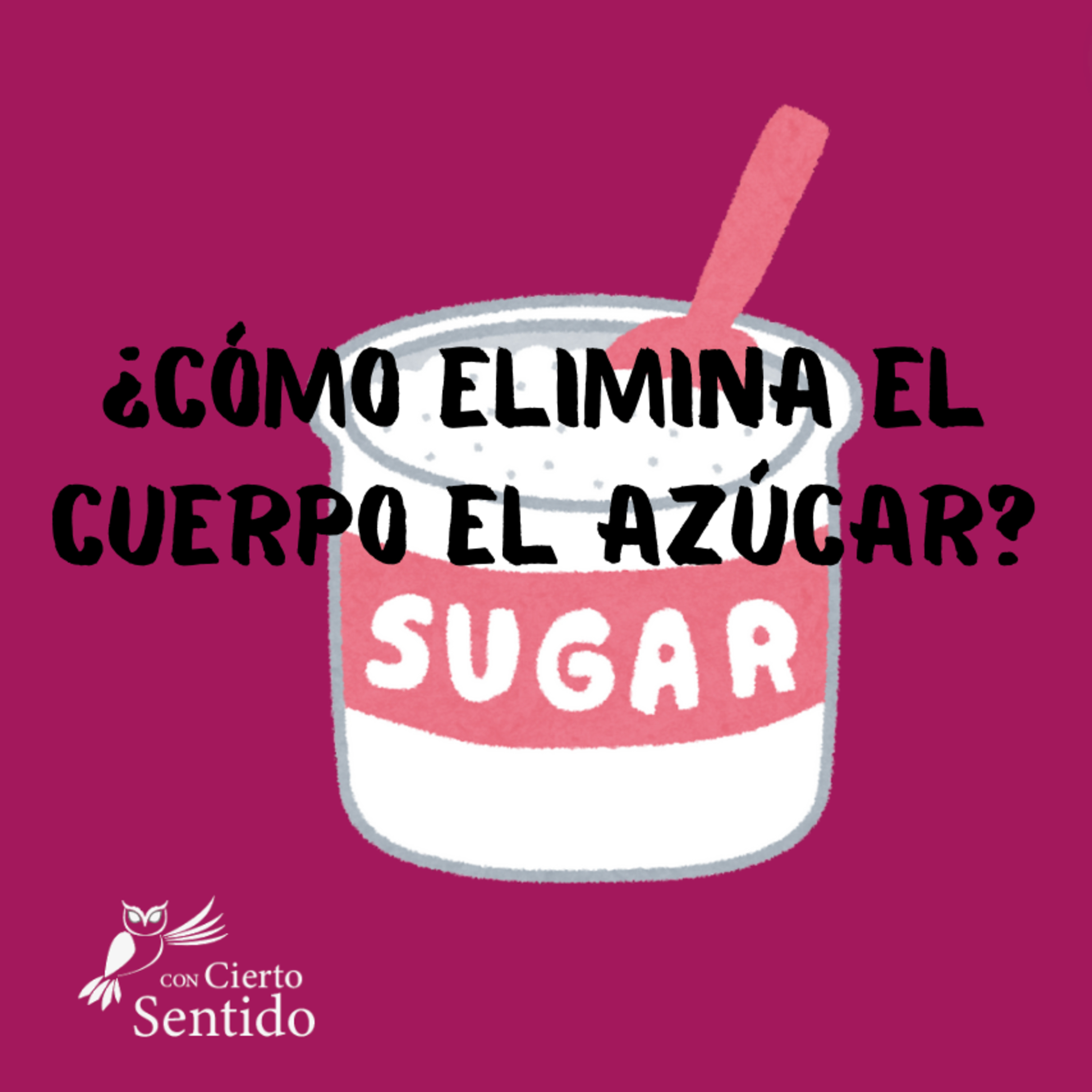 Con Cierto Sentido