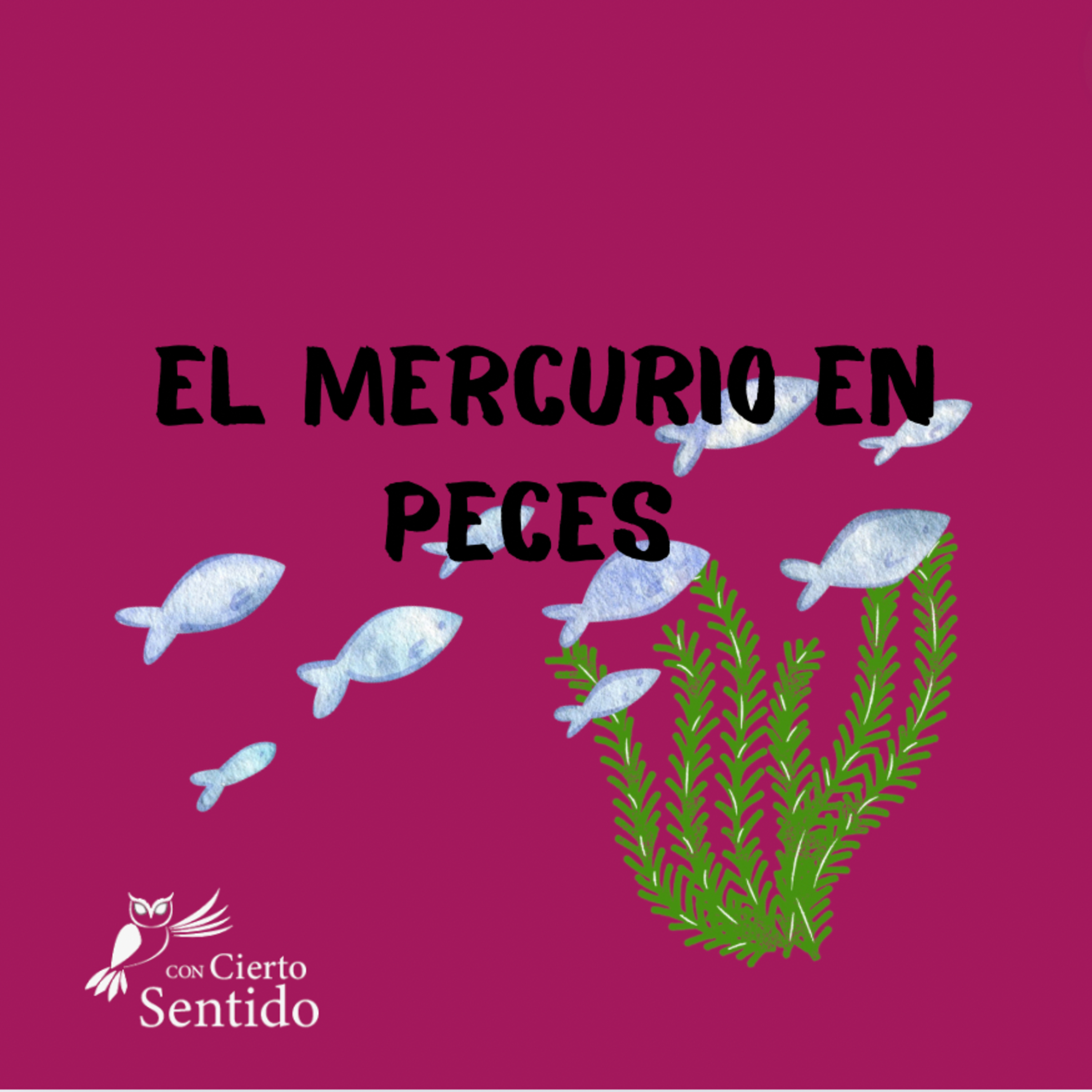 Con Cierto Sentido