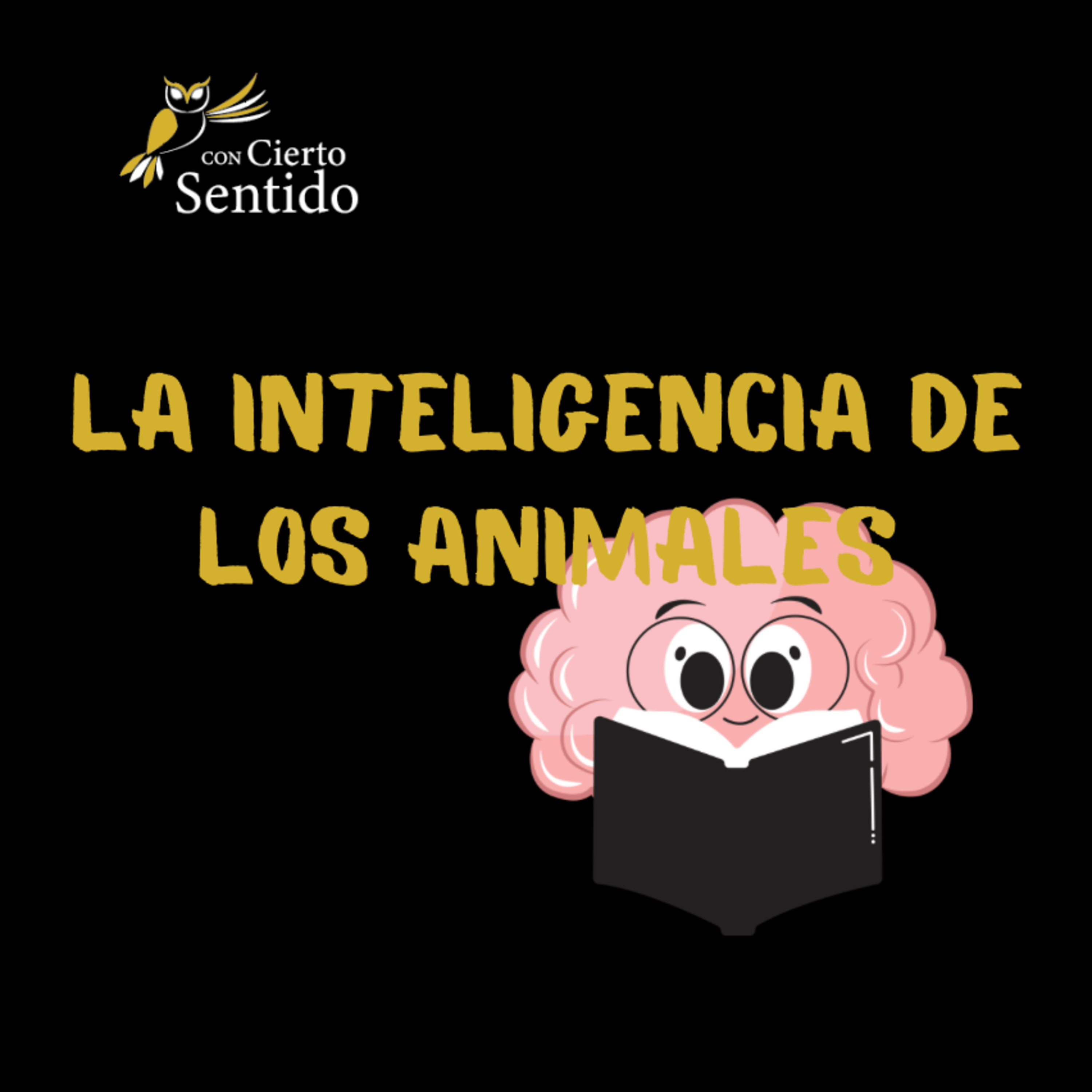 Con Cierto Sentido