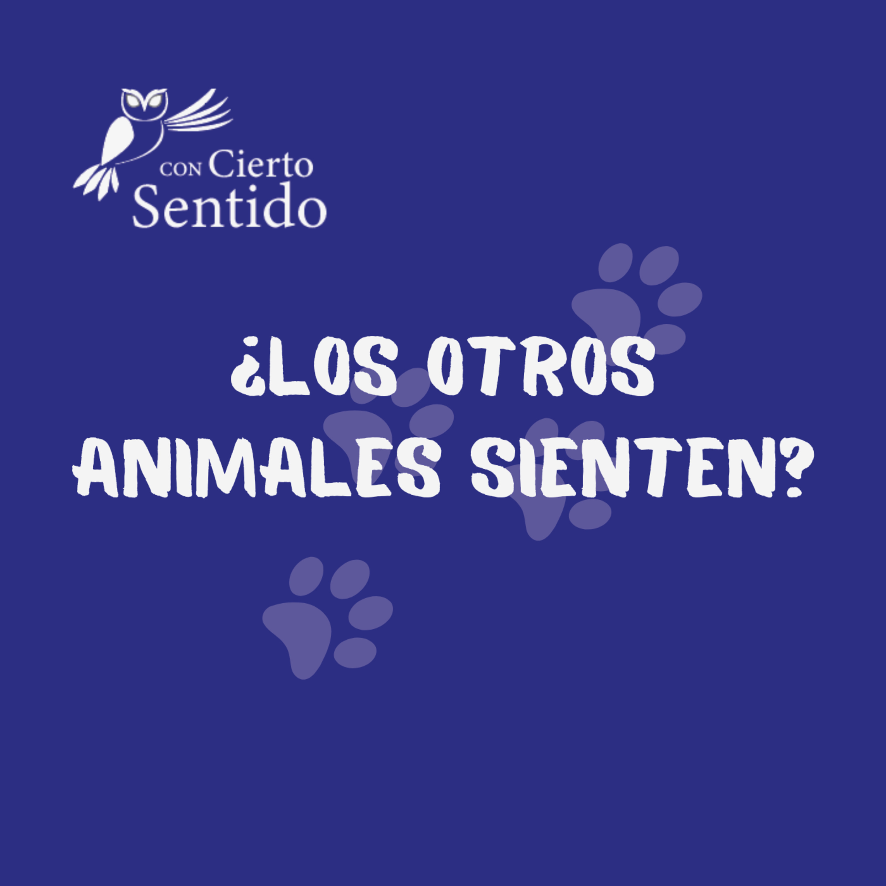 Con Cierto Sentido