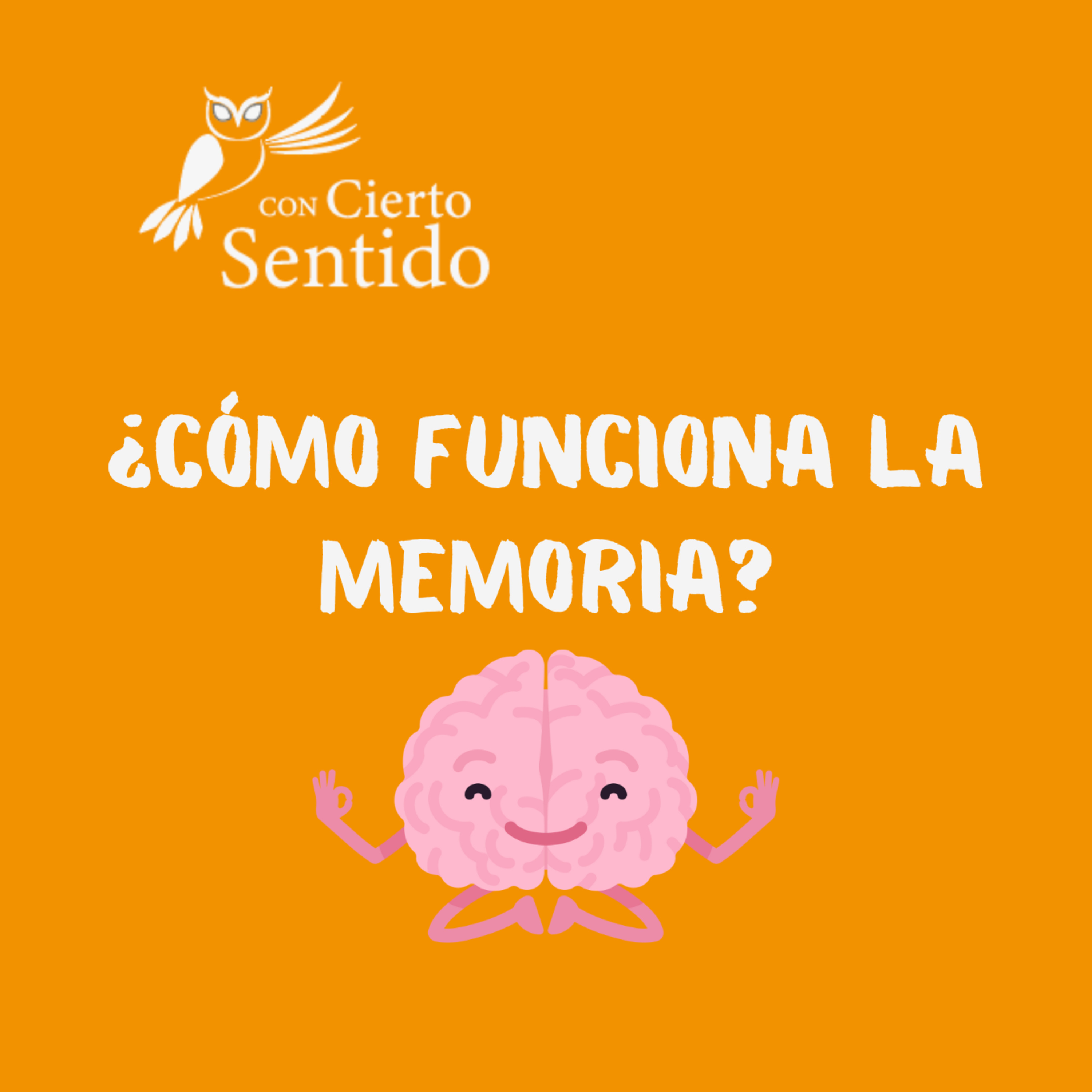 Con Cierto Sentido