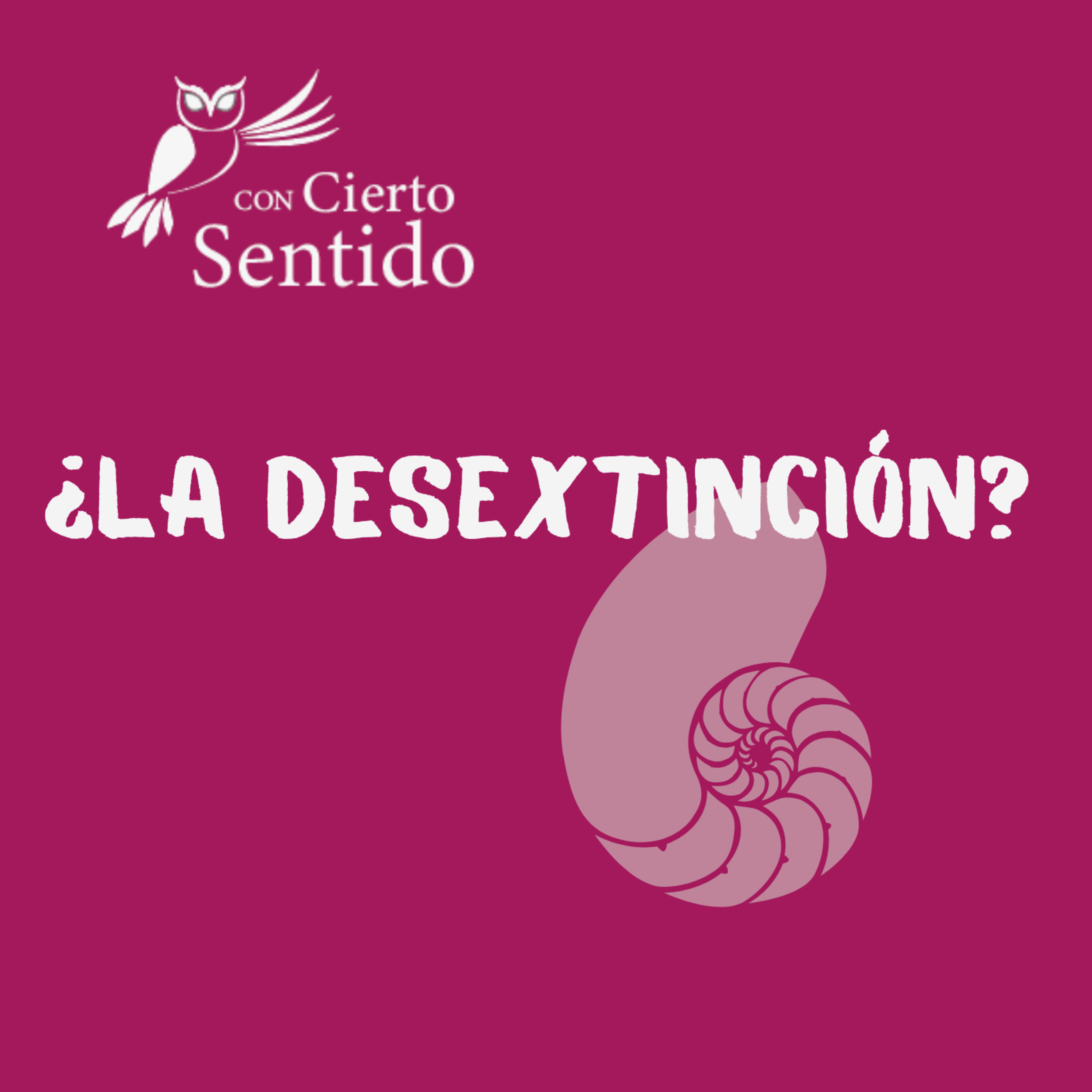 Con Cierto Sentido
