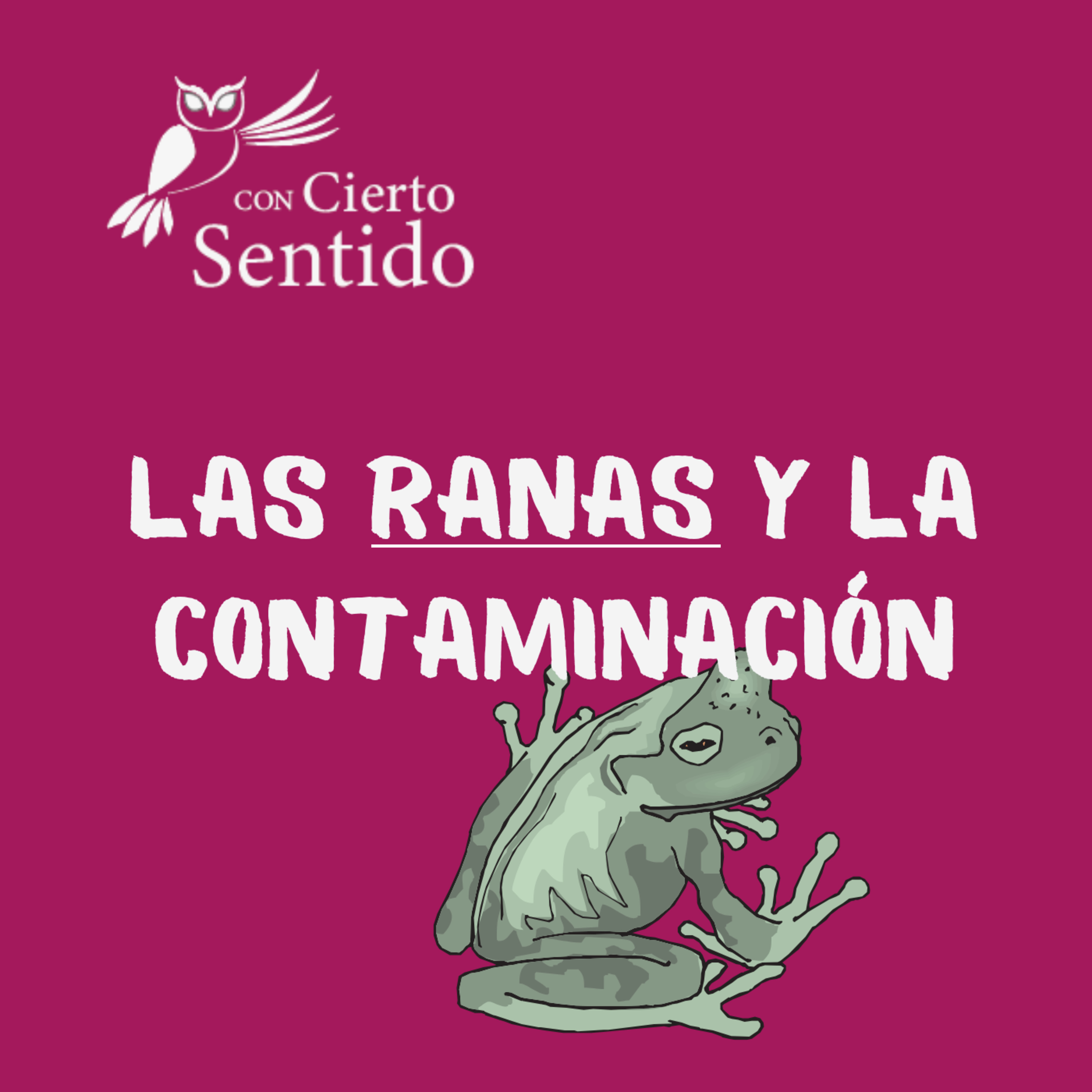 Con Cierto Sentido