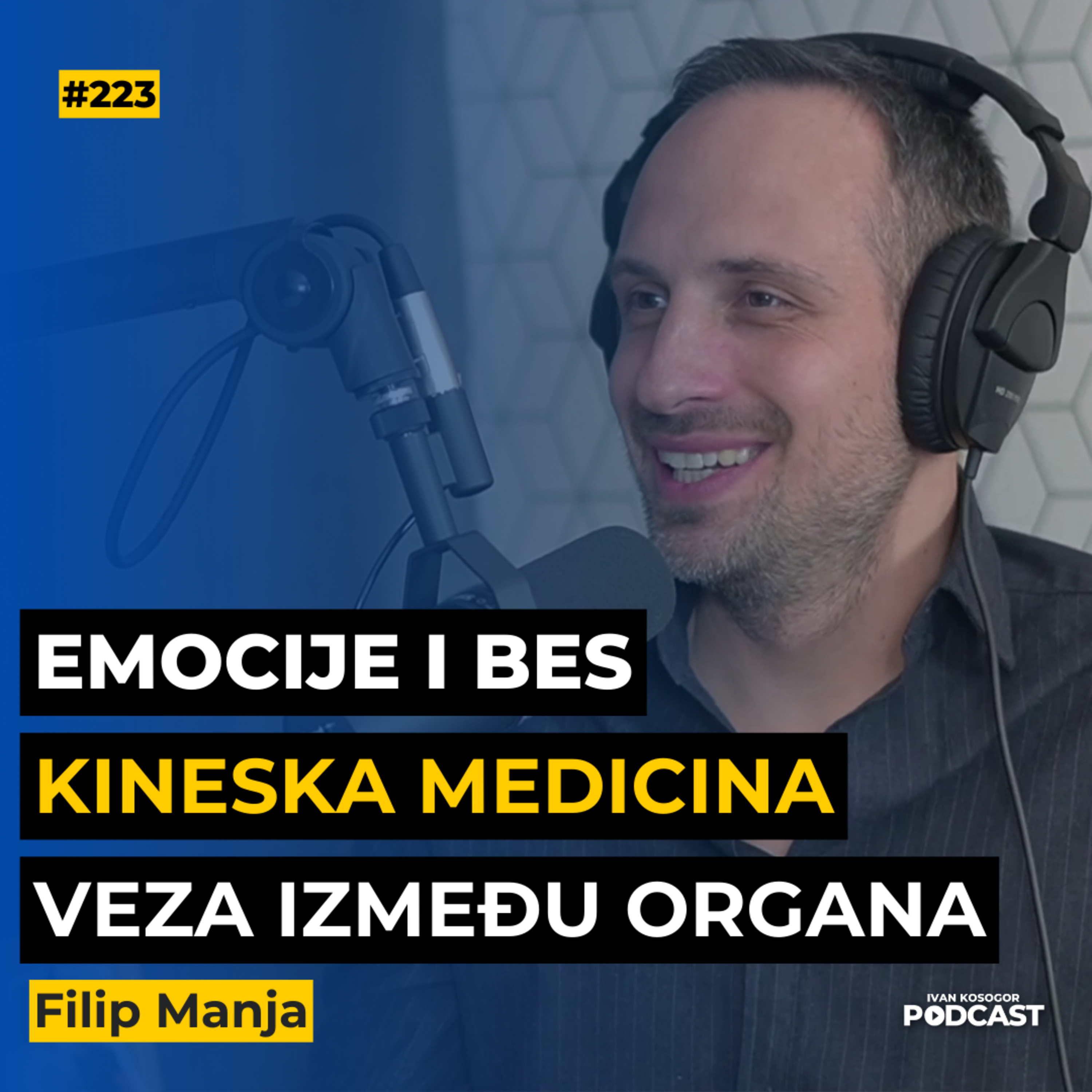 Ivan Kosogor Podcast