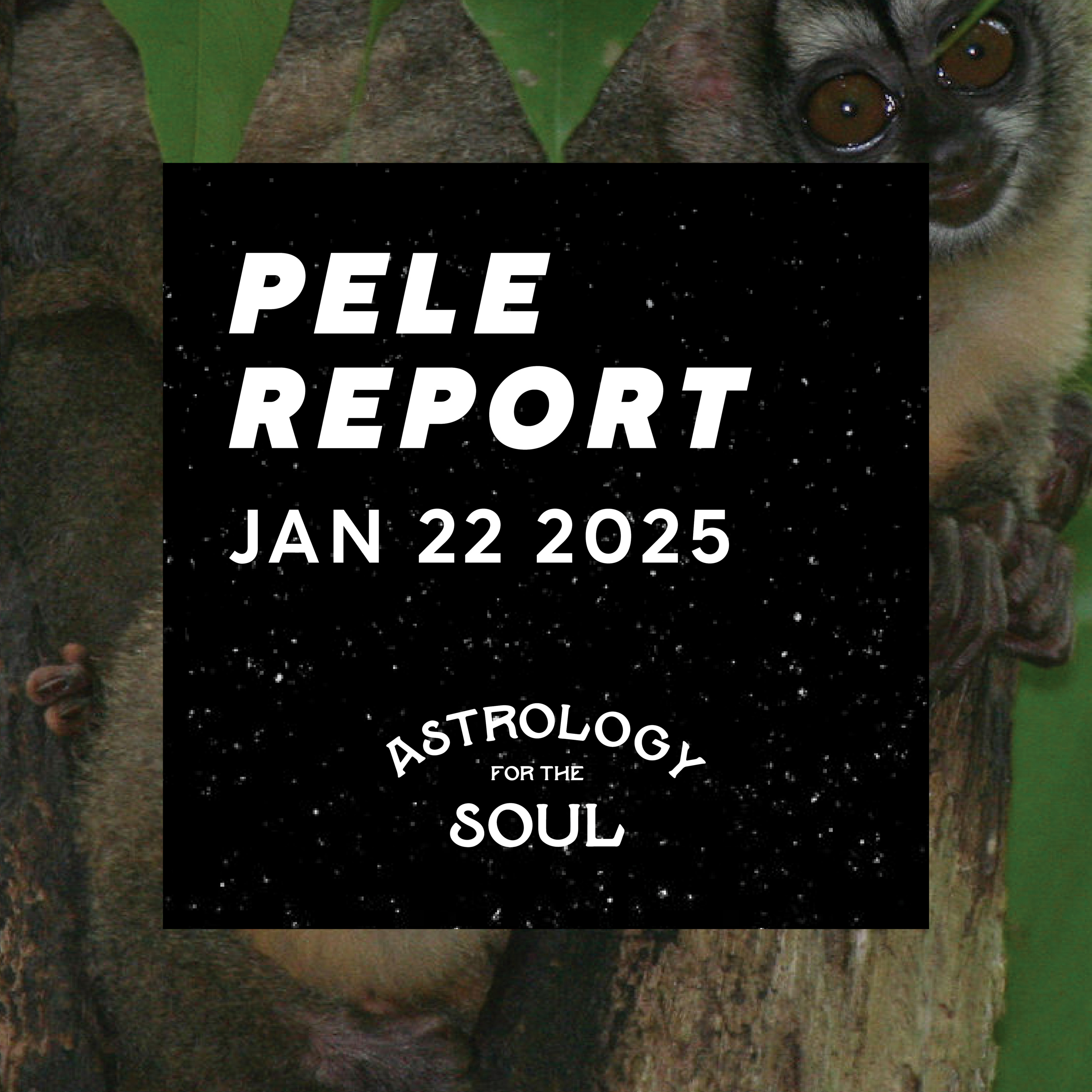 Astrology for the Soul January 22, 2025