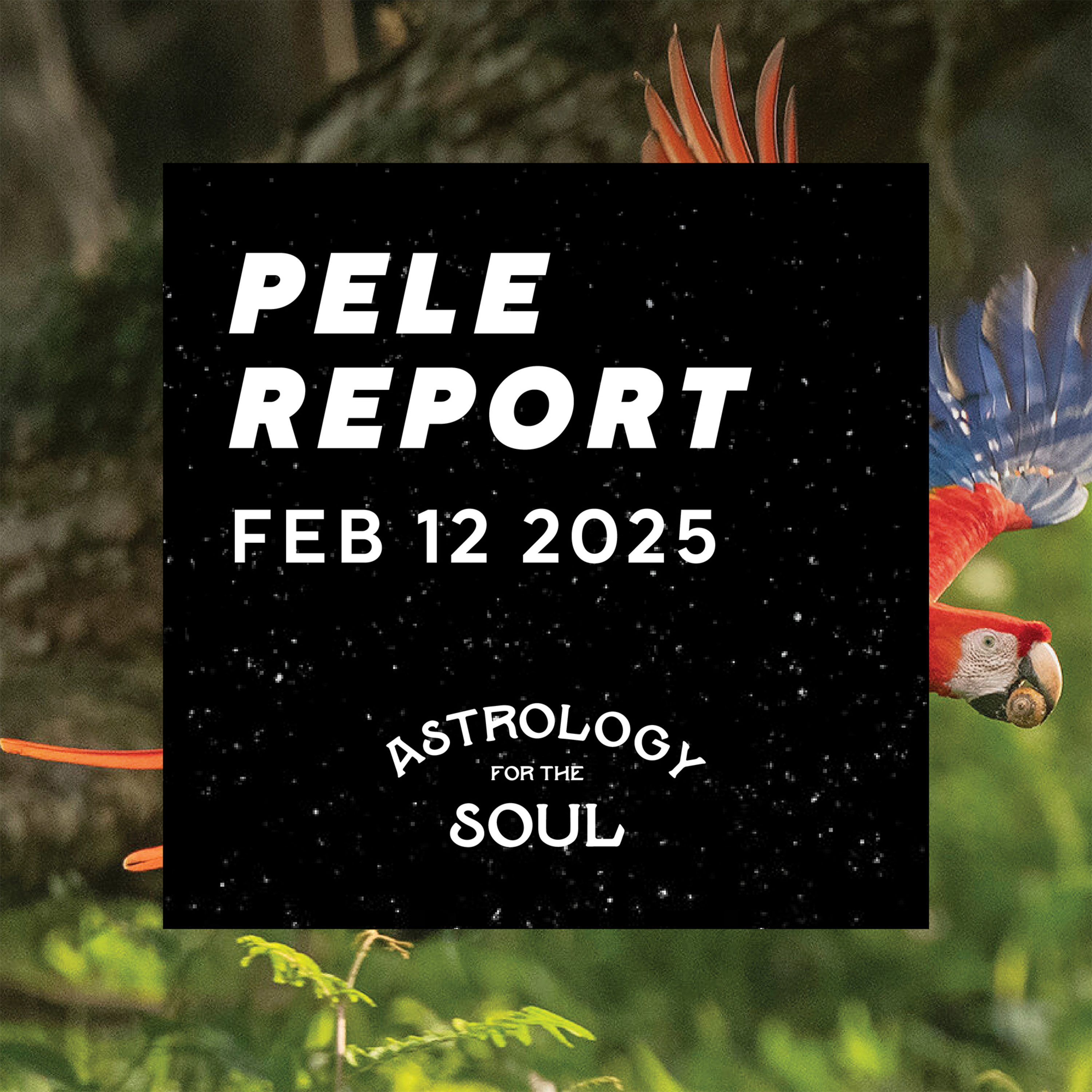 Astrology for the Soul February 12, 2025