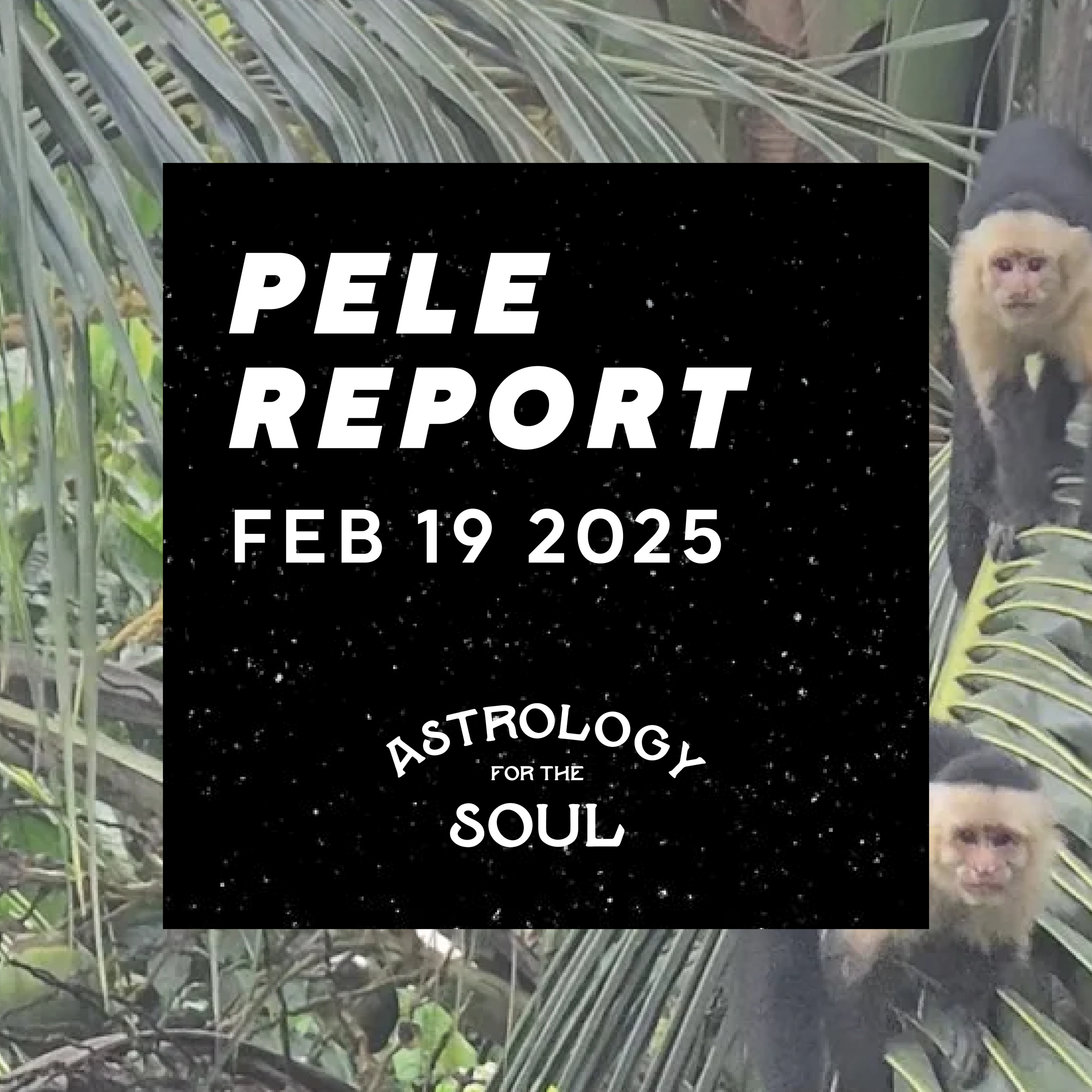 Astrology for the Soul February 19, 2025