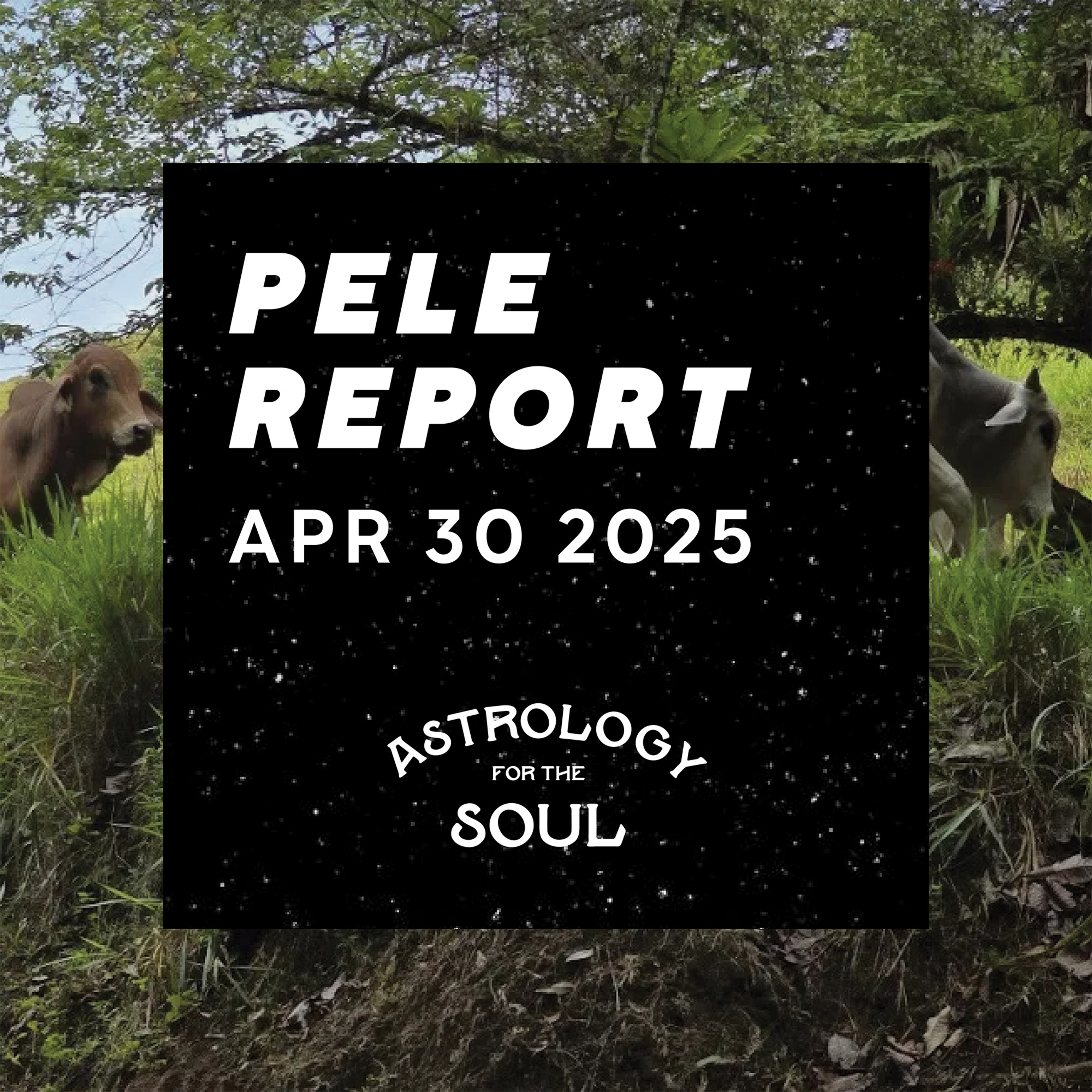 Astrology for the Soul April 30, 2025