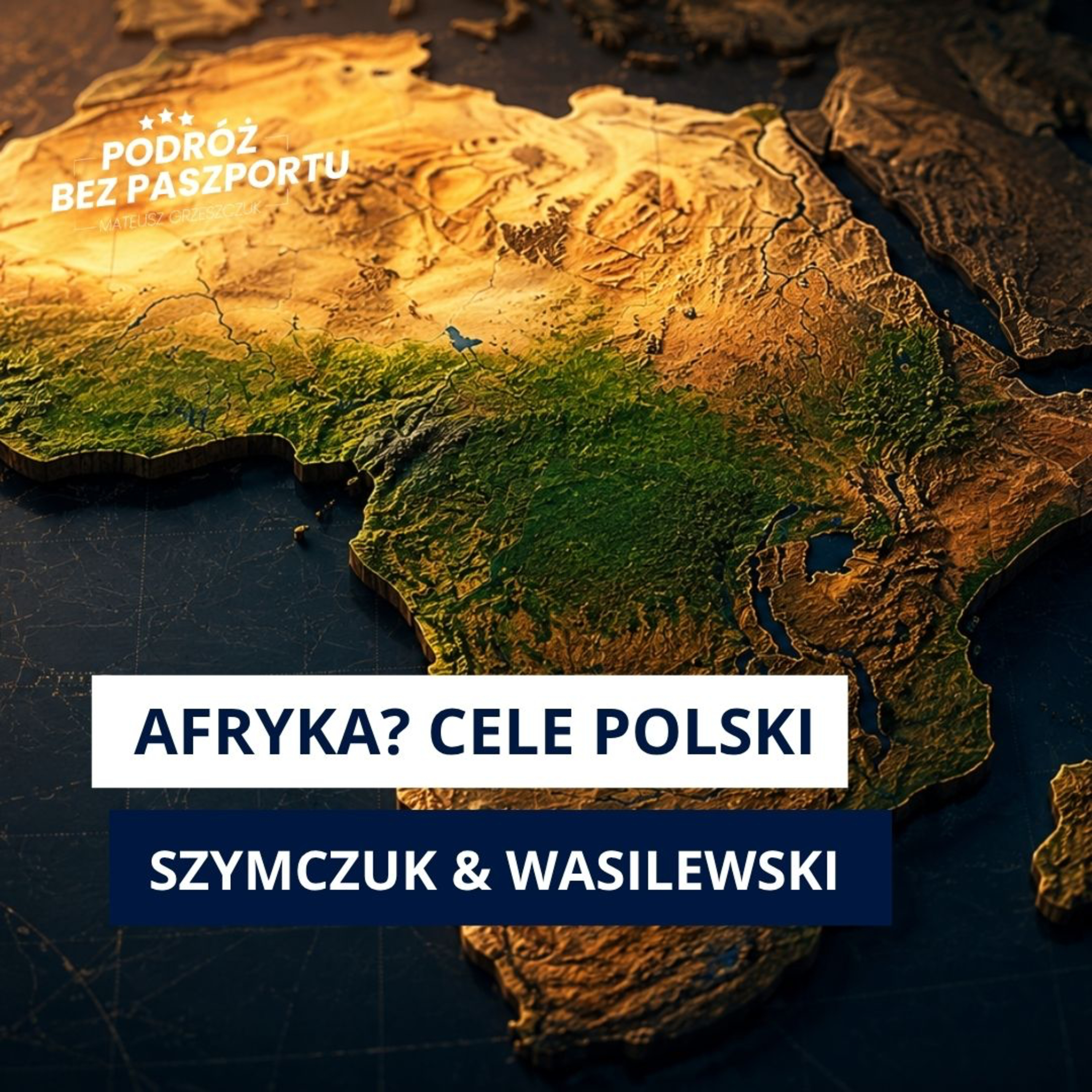 Brak kolonialnej przeszłości, nasz atut w Afryce? Dyplomacja ekonomiczna | Program Afrykański episode artwork