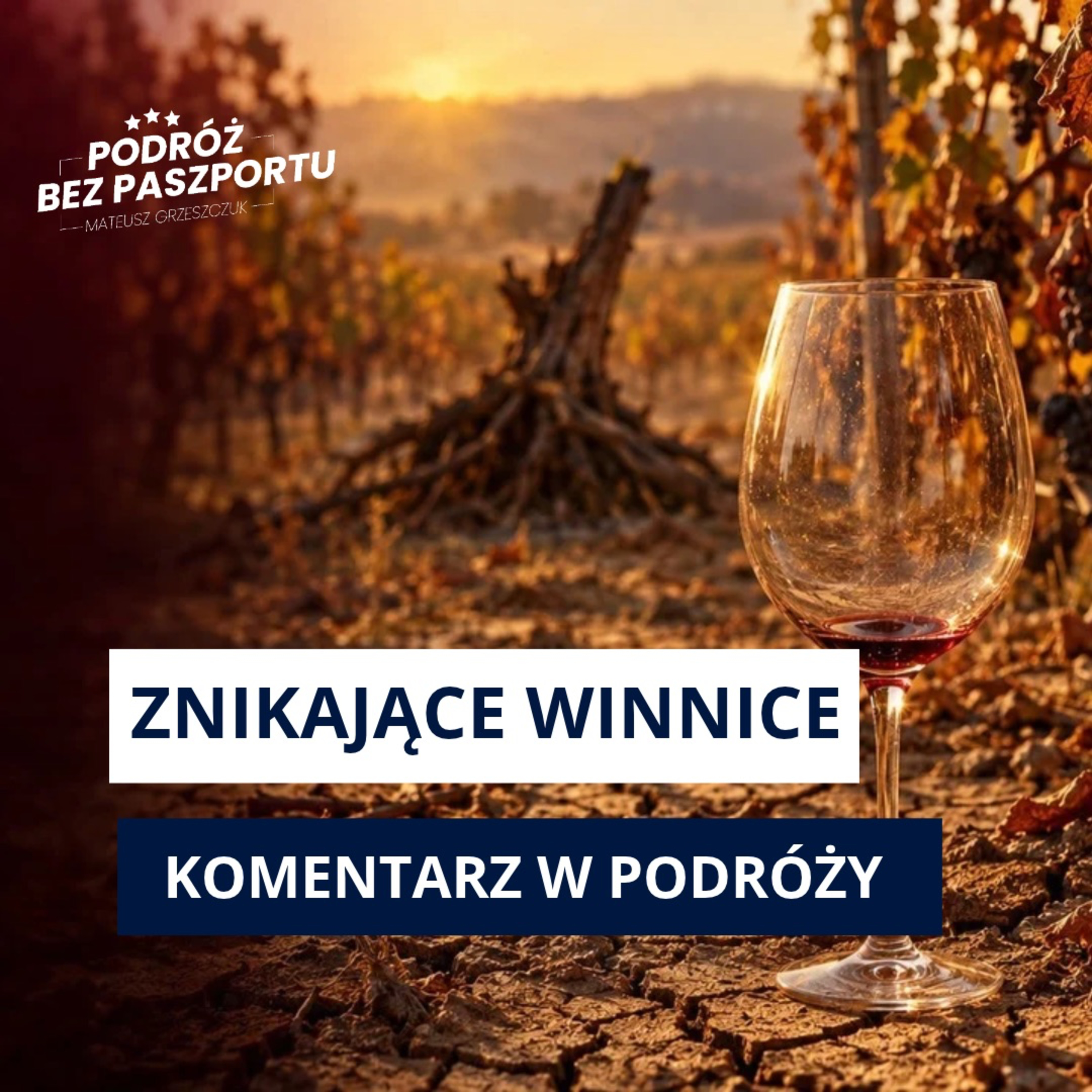 Najmniej wina we Francji od 1957 roku. Wielka wycinka. Co się dzieje?