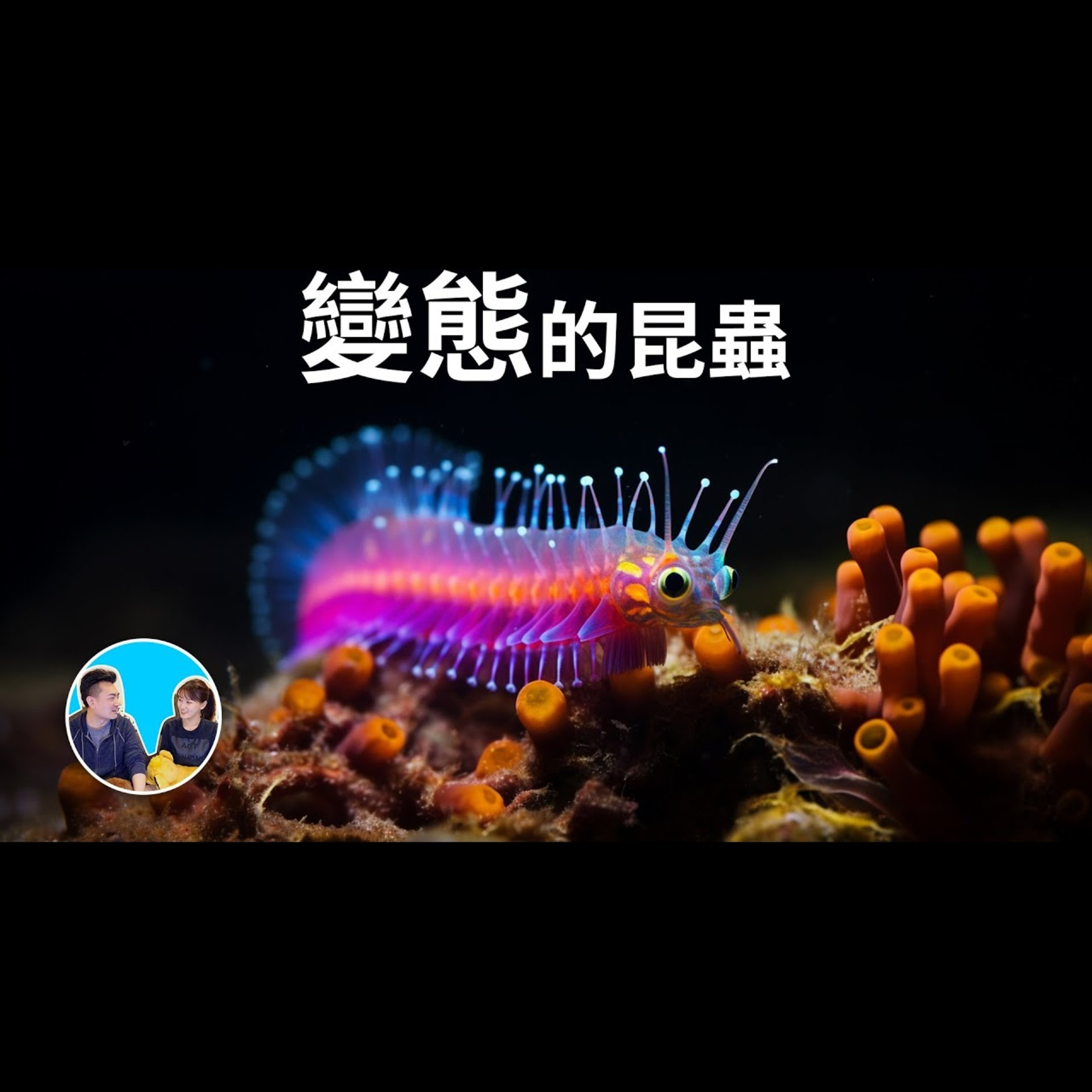 295 三大超能力：飛行，變態，休眠 | 老高與小茉 Mr & Mrs Gao episode artwork