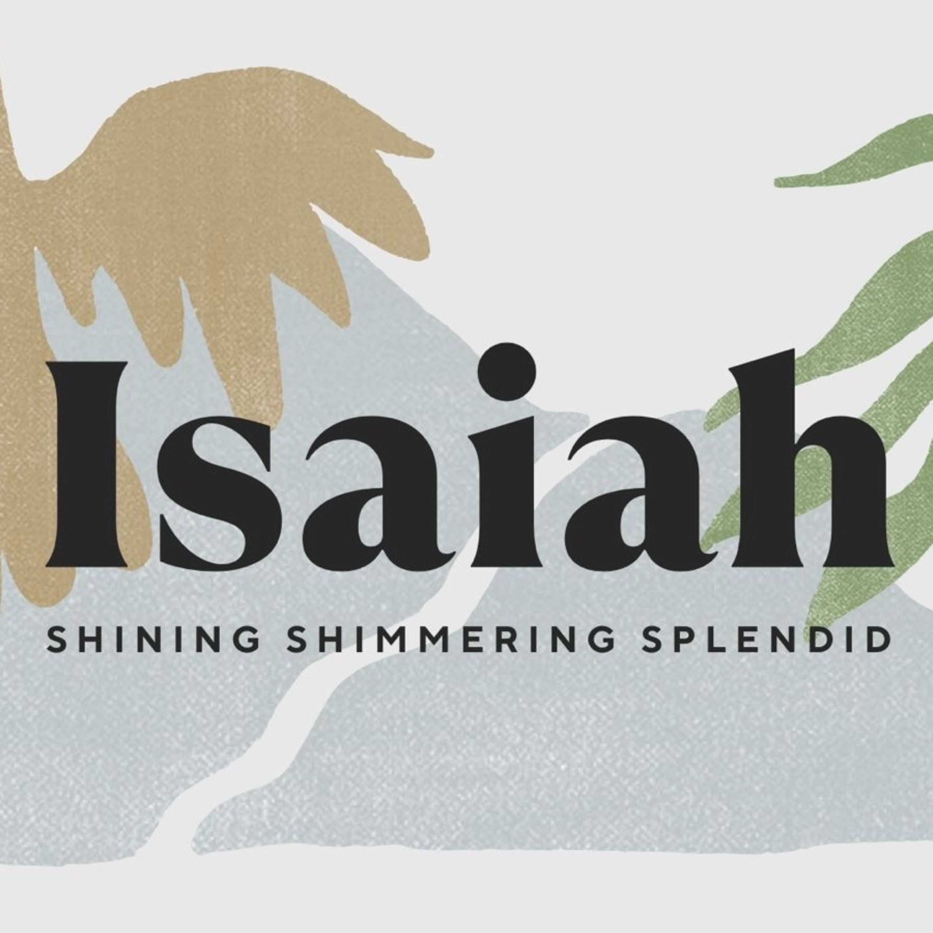 Isaiah | 1:1-2:5 | The Vision of Isaiah | Mitch Spence episode artwork