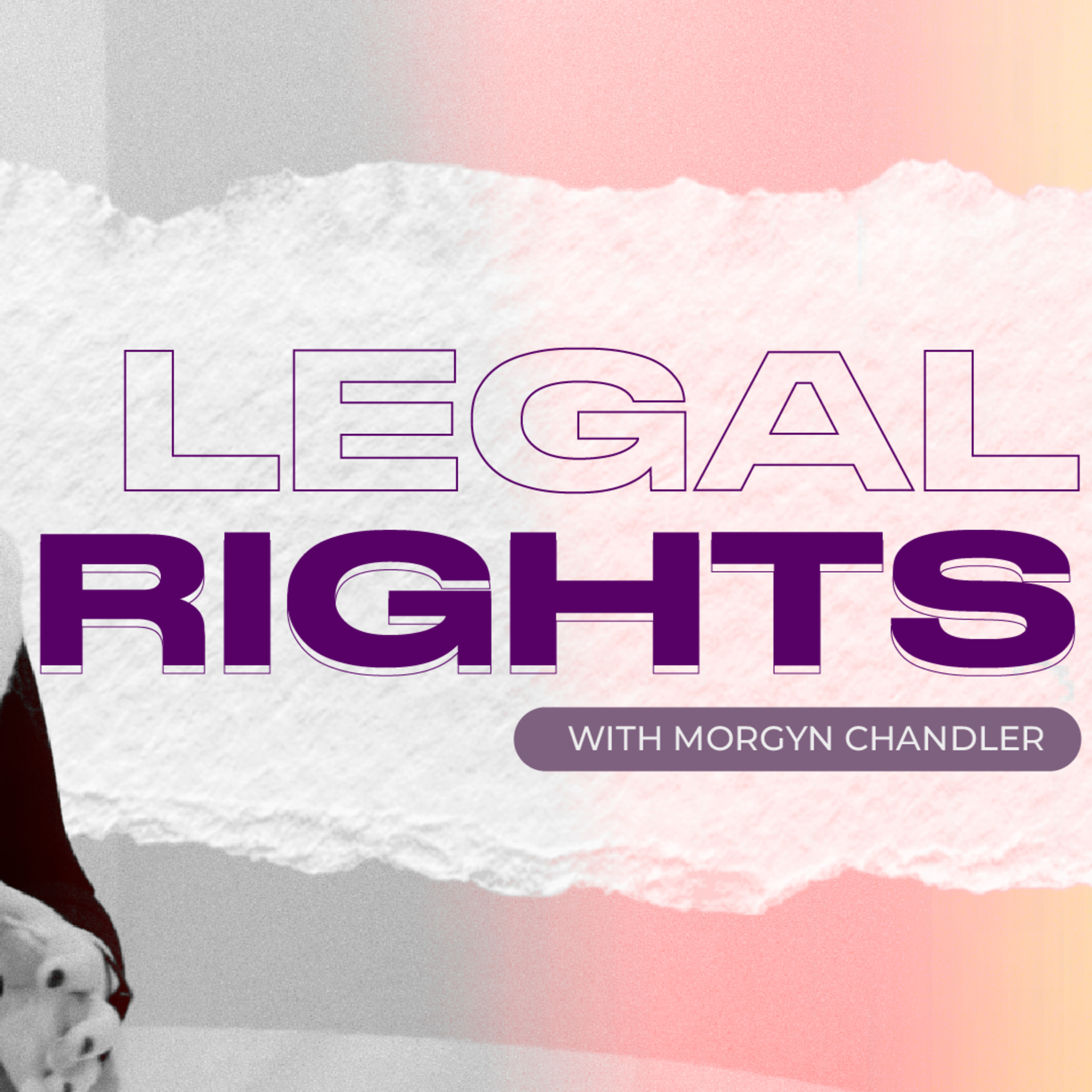 Know Your Rights: Protection, Immigration & Custody | with Morgyn Chandler (Hammerco Lawyers) | EP 4 episode artwork