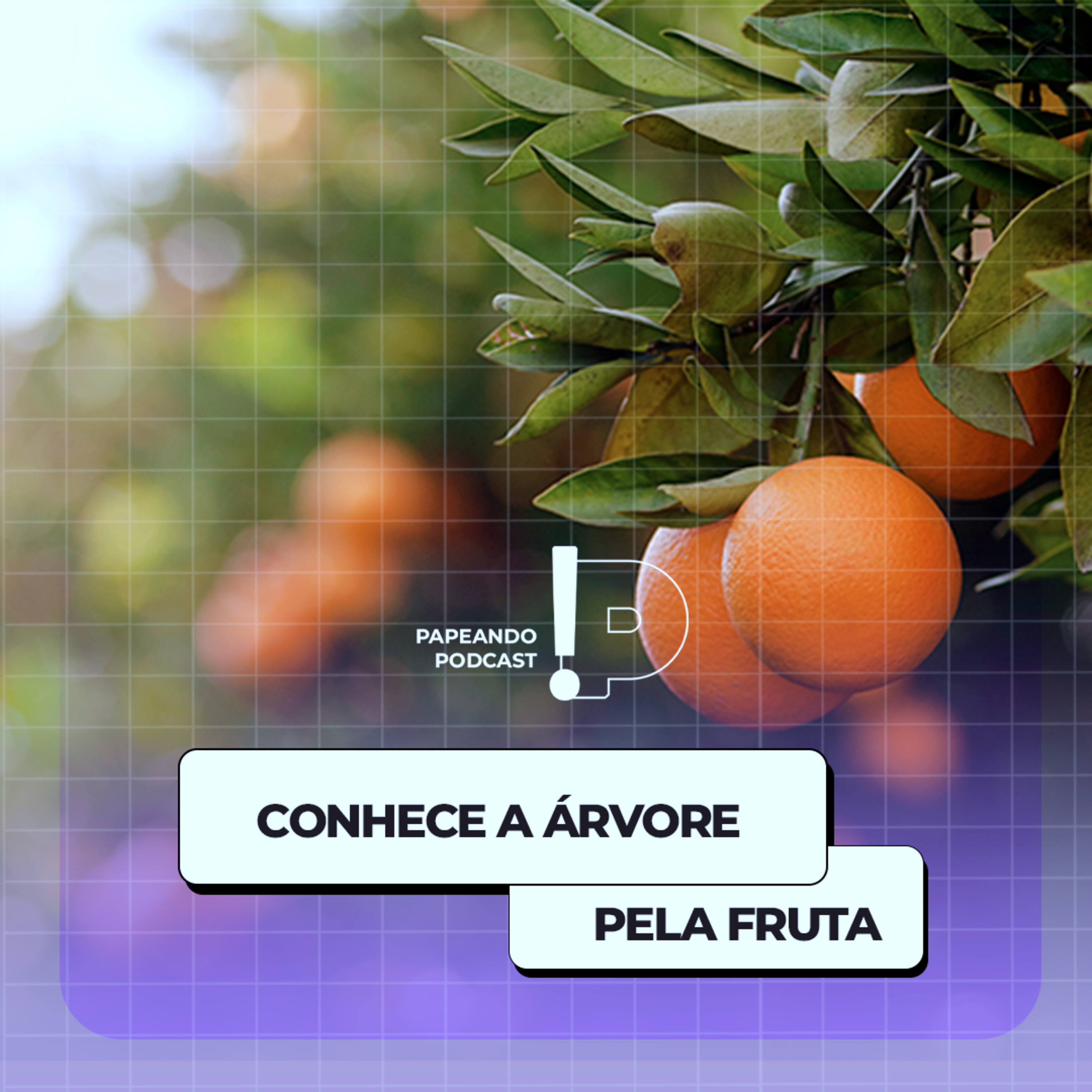 Conhece a árvore pela fruta