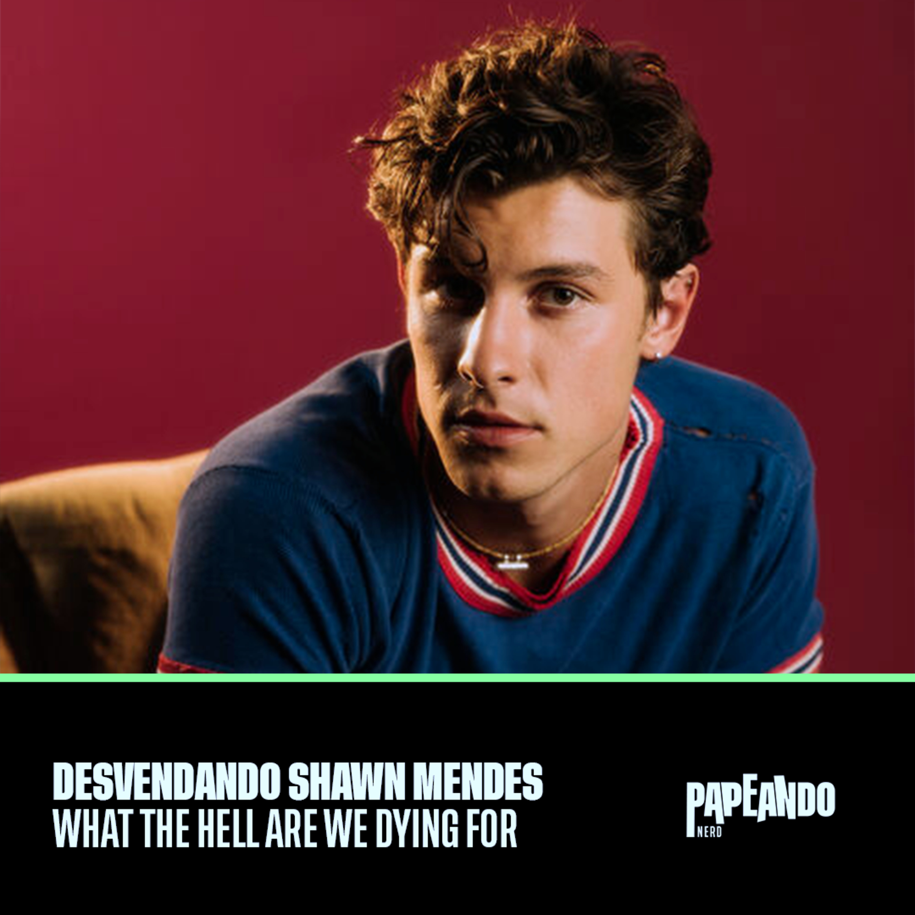 Harmonias Essenciais: Desvendando Shawn Mendes em 'What The Hell Are We Dying For